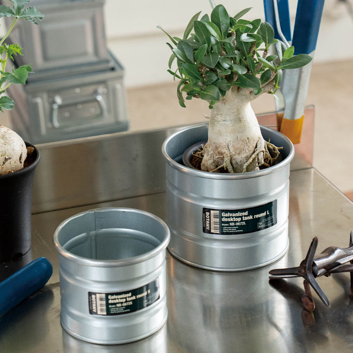 植木鉢 ガルバナイズド デスクトップ タンク L ダルトン （ DULTON 鉢