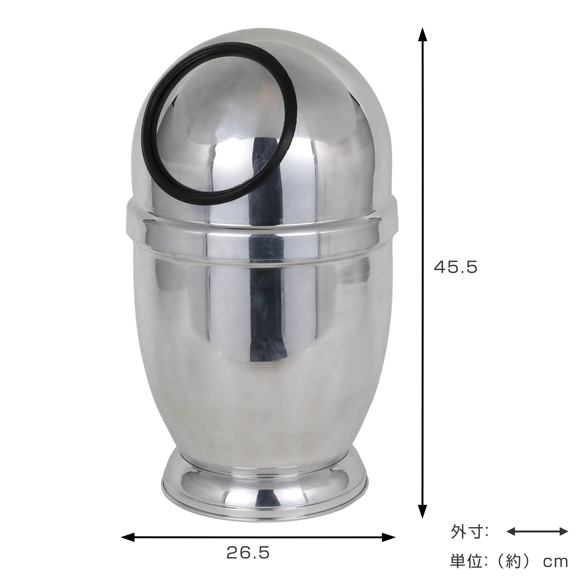 ダルトン ゴミ箱 9.5L アルミニウム 宇宙 ミラー仕上げ フタ付き