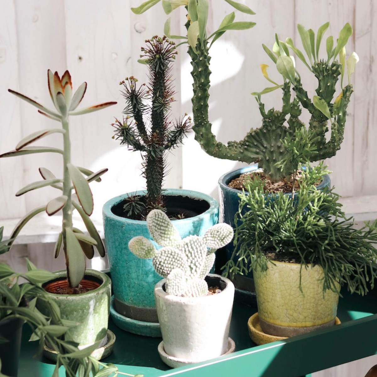 フラワーポット ダルトン DULTON カラー グレーズド ポット 5号鉢 ( 植木鉢 鉢 プランター 園芸用品 庭 お庭 玄関 お部屋 室内 屋外 おしゃれ カラフル インテリア コンパクト ハンドメイド 底穴 小さい ) 【ライトパープル】 ライトパープル