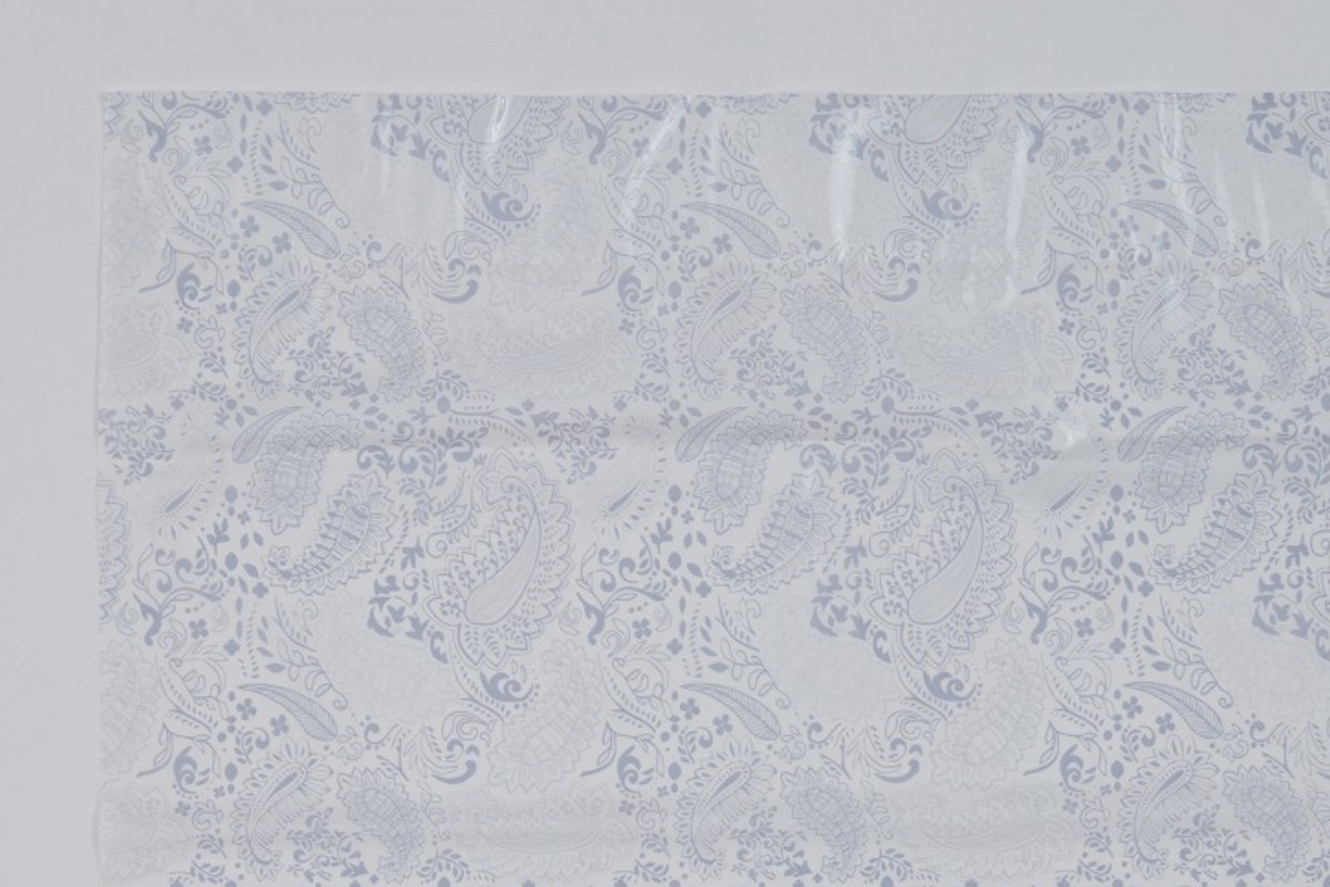 圧縮袋 手押し圧縮袋 衣類用 L 横45×縦65cm 2枚入 ( 衣類圧縮袋 衣類圧縮パック 圧縮パック 衣類圧縮 衣類収納 圧縮 収納袋 手押しタイプ 衣類 収納ケース 手押し 手巻き 旅行 出張 トラベルグッズ パッキング 衣替え 中が見える )