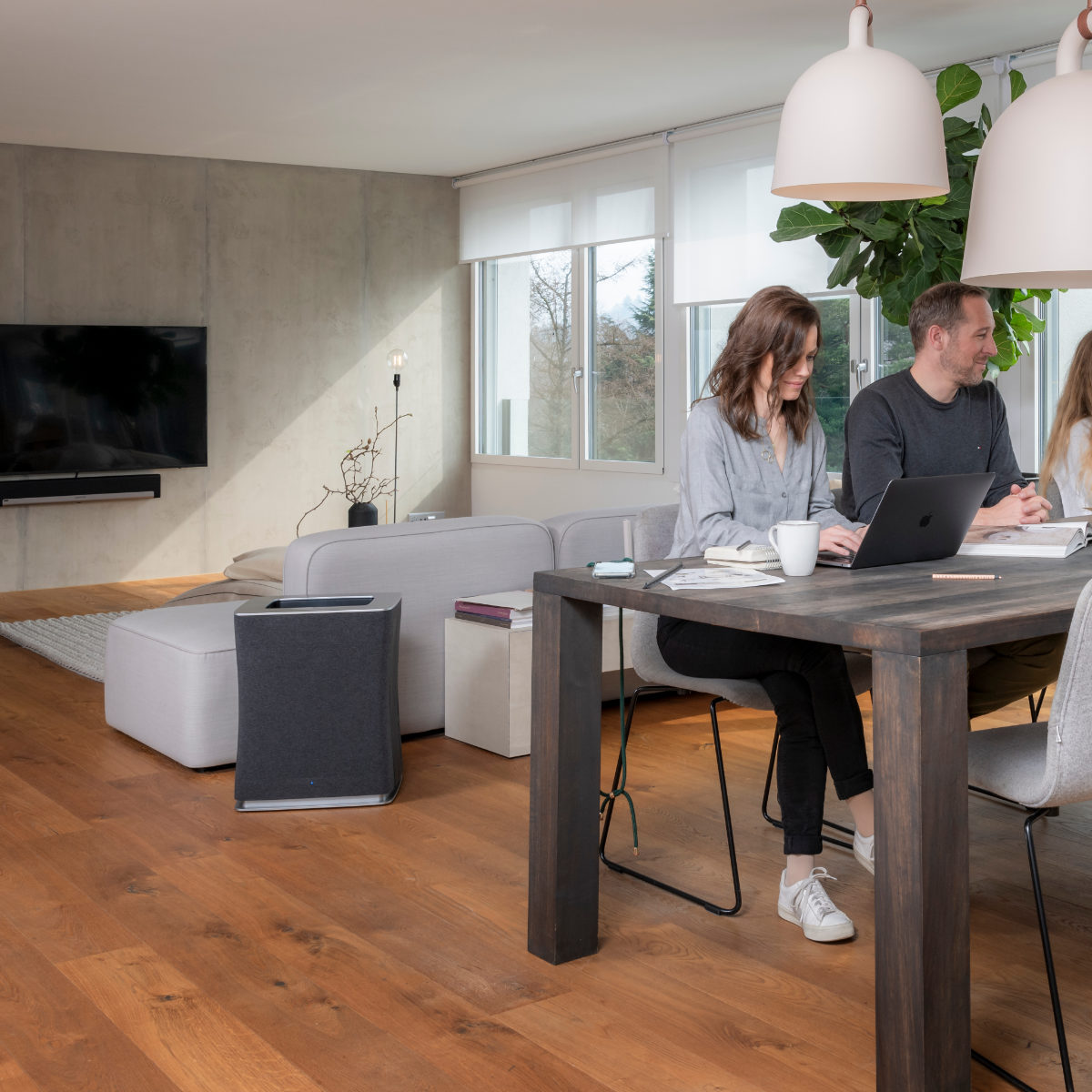 空気清浄機 Stadler Form Roger 2 bigファン集塵方式 ( 空気清浄器 約62畳 Wi-Fi機能 ウィルス対策 花粉対策 チャイルドロック スタイリッシュ ブラック 洗える フィルター 風量調節 タイマー キャスター付 おしゃれ )