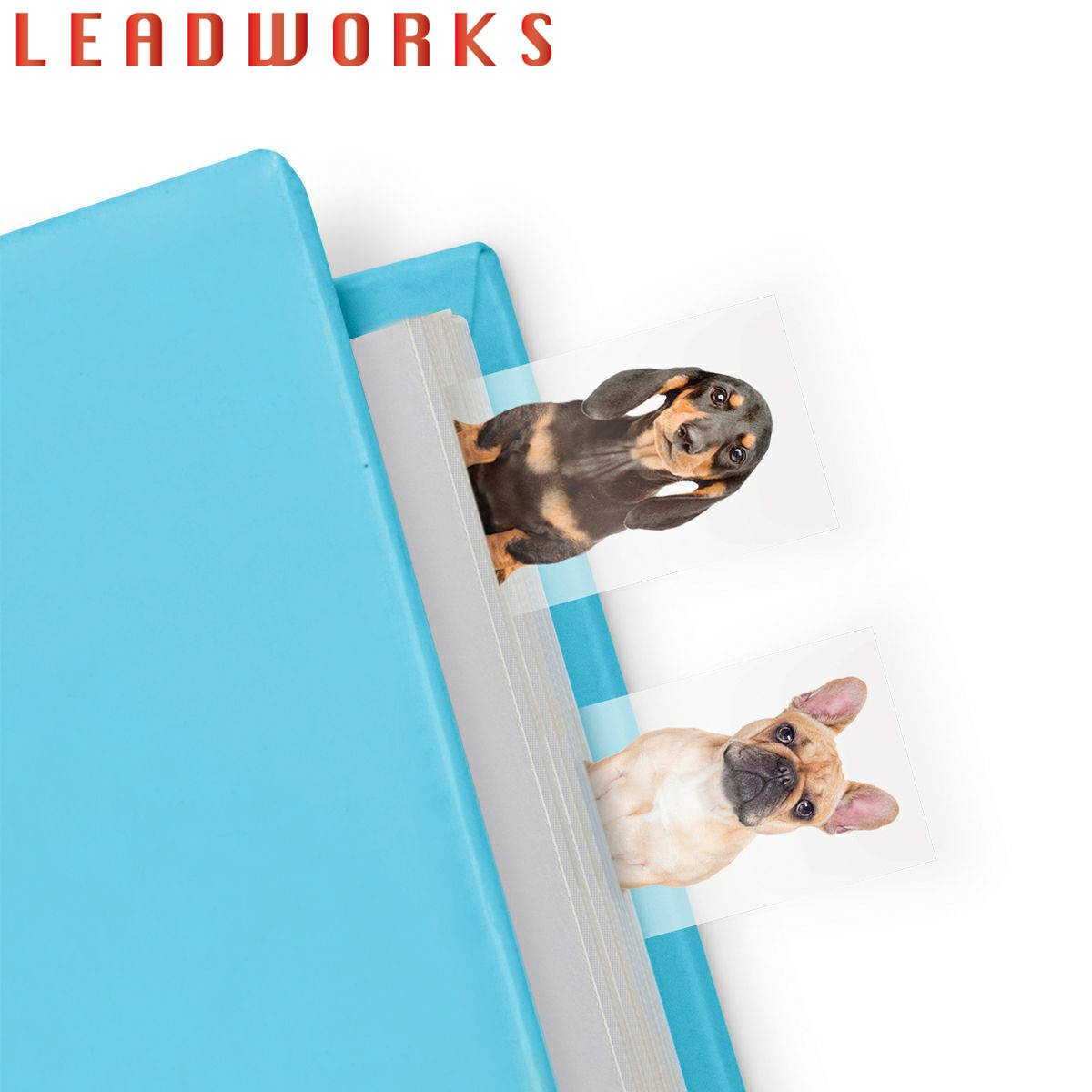 LEADWORKS 付箋 150枚 メモ マスタード スティッキー メモ用紙 （ レッドワークス ふせん 猫 犬 栞 しおり インデックス 目次 文具 雑貨 おしゃれ かわいい 文房具 作業 事務 勉強 読書 ステーショナリー 手帳 ノート 目印 透明 ）