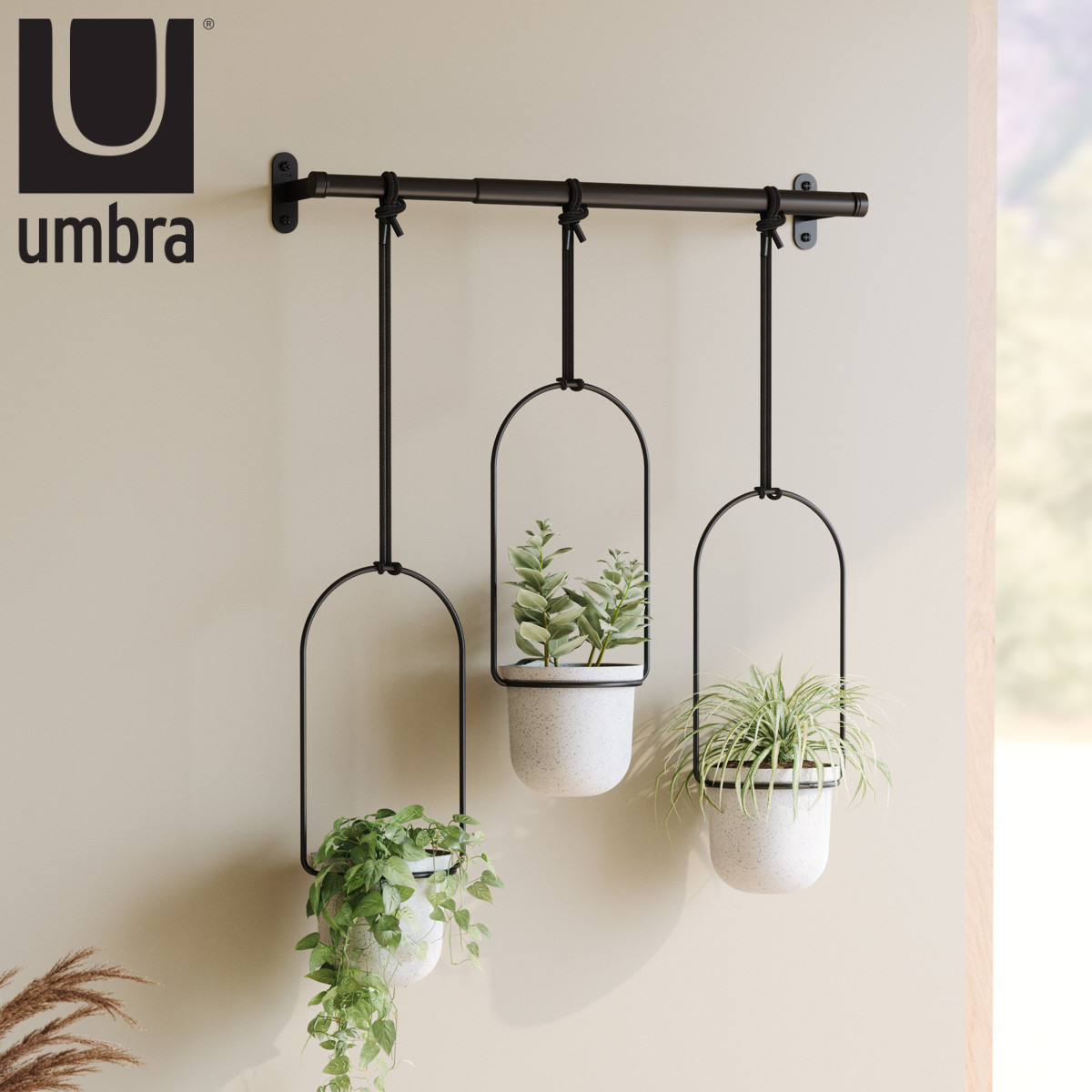 プランター Umbra トリフローラ ハンキングプランター （ ハンギングポット ハンギング 吊り下げ 植木鉢カバー 植木鉢 カバー 観葉植物 鉢植え 室内 ハンギングバスケット ハンギングプランター ラタンバスケット つりさげ ）