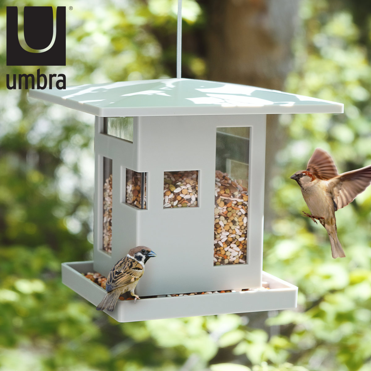バードフィーダー Umbra バードカフェ ( 野鳥 小鳥 鳥の餌台 鳥の餌箱 鳥 エサ台 給餌器 餌入れ 餌台 自動供給 プラスティック 大容量 吊り下げ 家型 屋根付き 庭 ガーデン ベランダ )