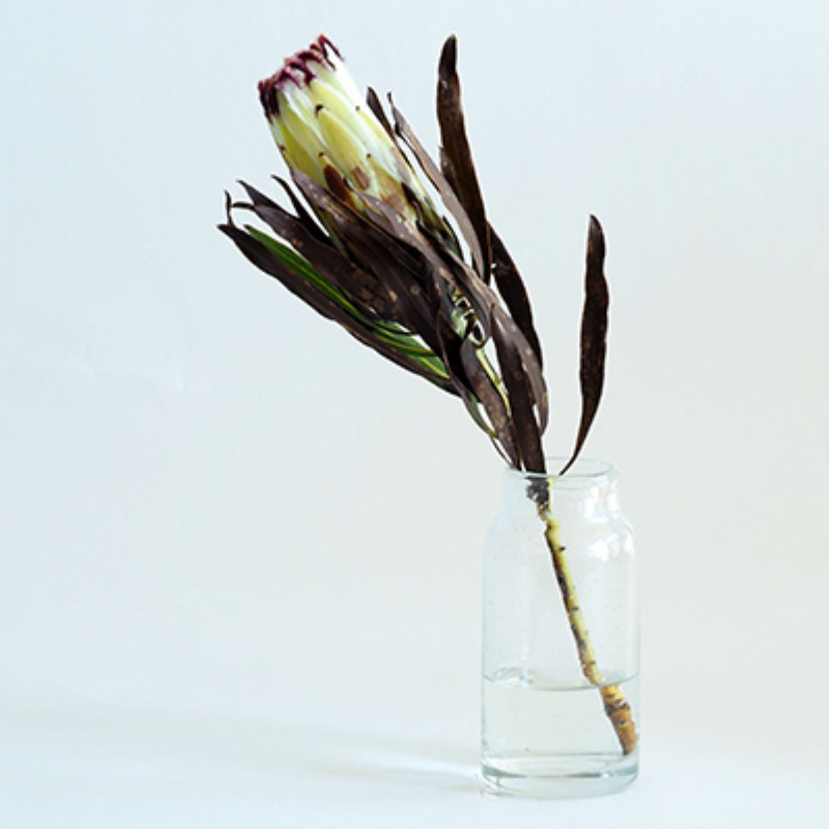花瓶 DGボトルベース 直径7.5×高さ15.5cm クリアー ガラス