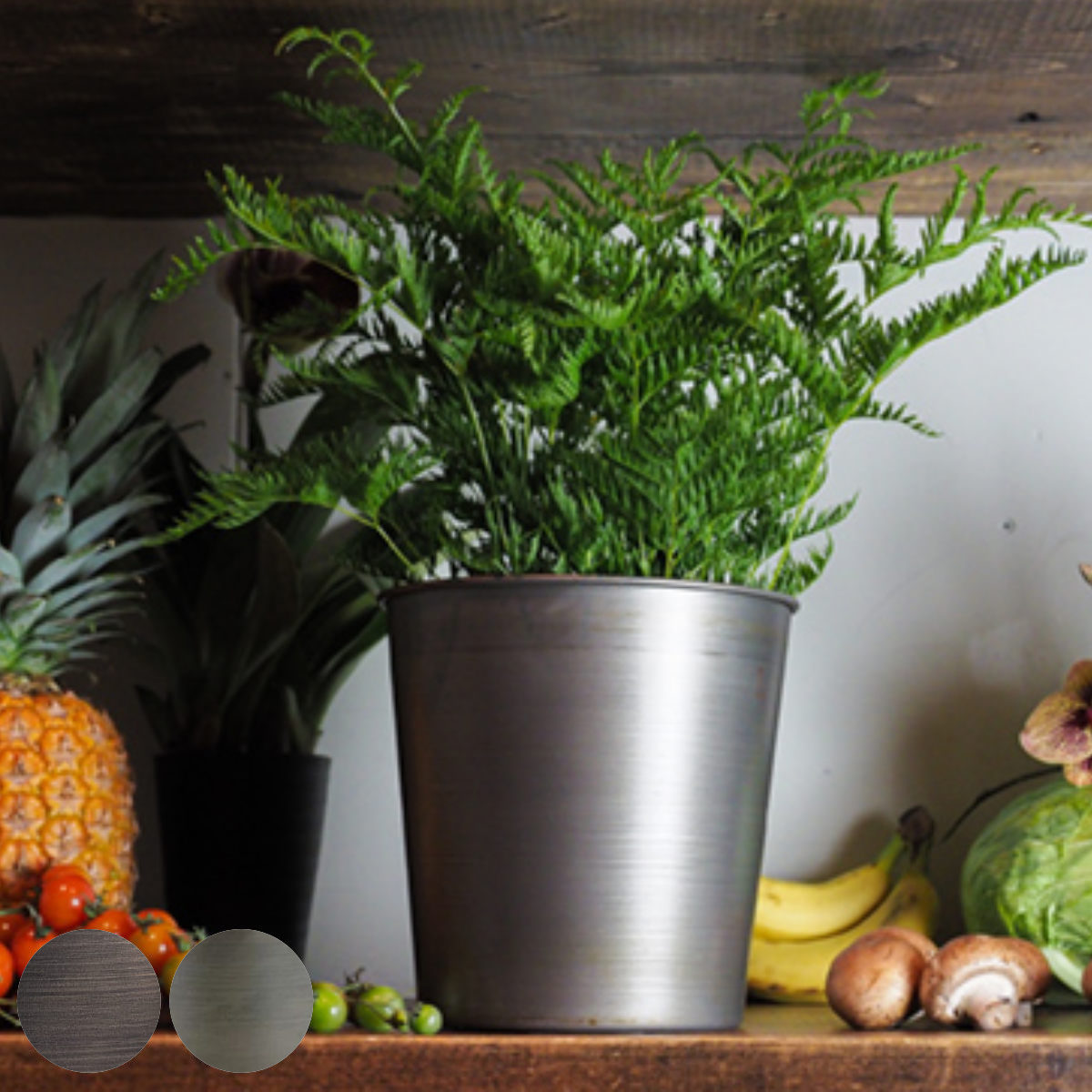 プランター MC円錐ポット 直径20×高さ20cm アイアン ( 植木鉢 プラントポット 植物用ポット 花瓶 花びん 花器 鉢カバー ポット 丸 円すい 卓上 スタンド 置く 植物 花 観葉植物 多肉植物 サボテン 園芸 直植え インテリア ) 【ブラック】