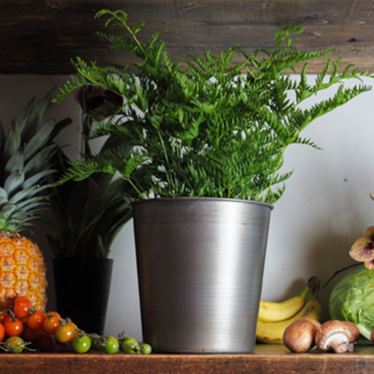 プランター MC円錐ポット 直径20×高さ20cm アイアン ( 植木鉢 プラントポット 植物用ポット 花瓶 花びん 花器 鉢カバー ポット 丸 円すい 卓上 スタンド 置く 植物 花 観葉植物 多肉植物 サボテン 園芸 直植え インテリア ) 【ブラック】 ブラック