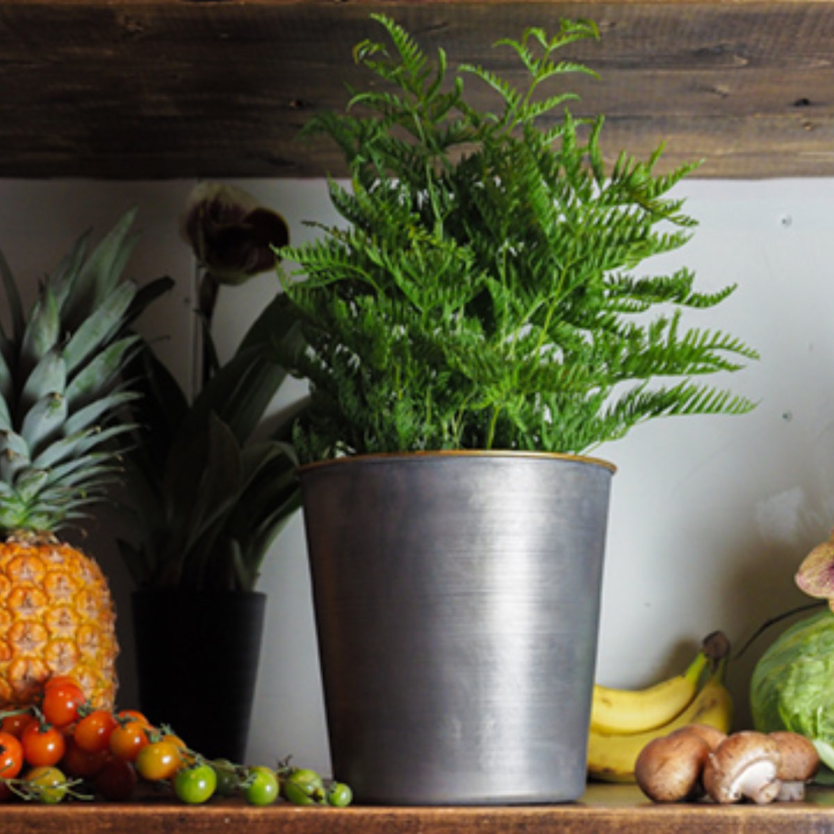 プランター MC円錐ポット 直径20×高さ20cm アイアン ( 植木鉢 プラントポット 植物用ポット 花瓶 花びん 花器 鉢カバー ポット 丸 円すい 卓上 スタンド 置く 植物 花 観葉植物 多肉植物 サボテン 園芸 直植え インテリア ) 【ブラック】 ブラック