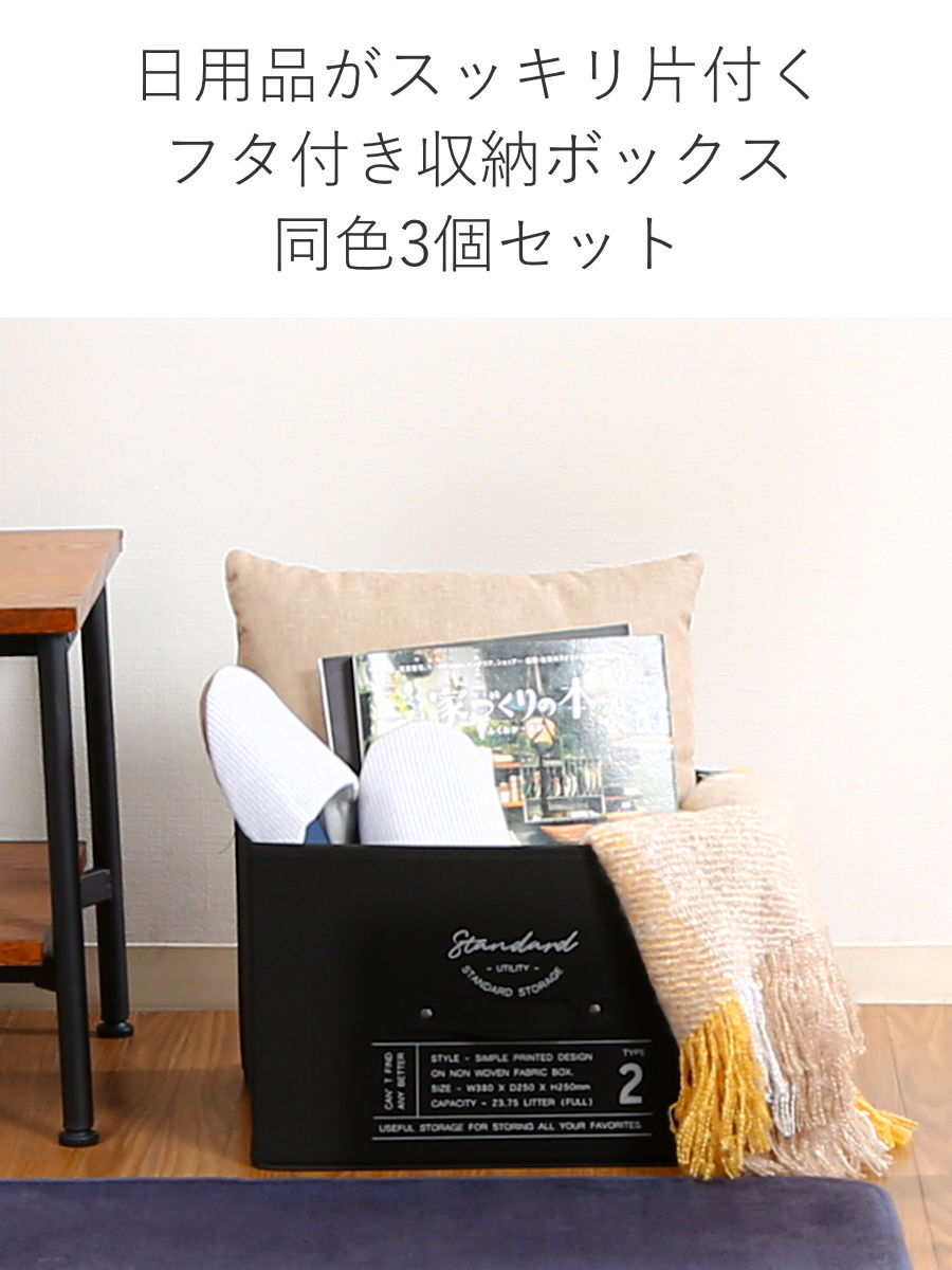 収納ボックス ふた付き 不織布 同色3個セット インナーボックス スタンダード フルサイズ ( 収納ケース 収納 ケース ボックス フタ 蓋 カラーボックス インナーケース 引き出し 取っ手付き 持ち手付き ファブリック 布製 おしゃれ ) 【グレー】 グレー