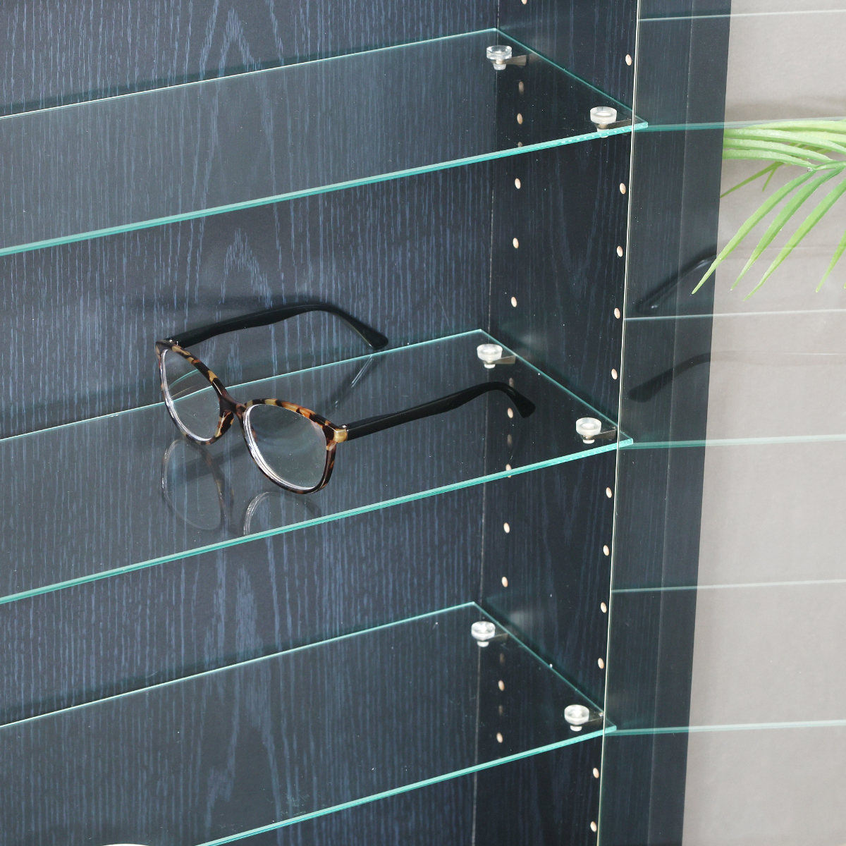 コレクションケース 幅48.5cm TOR ハイタイプ ガラス扉 （ ラック 棚