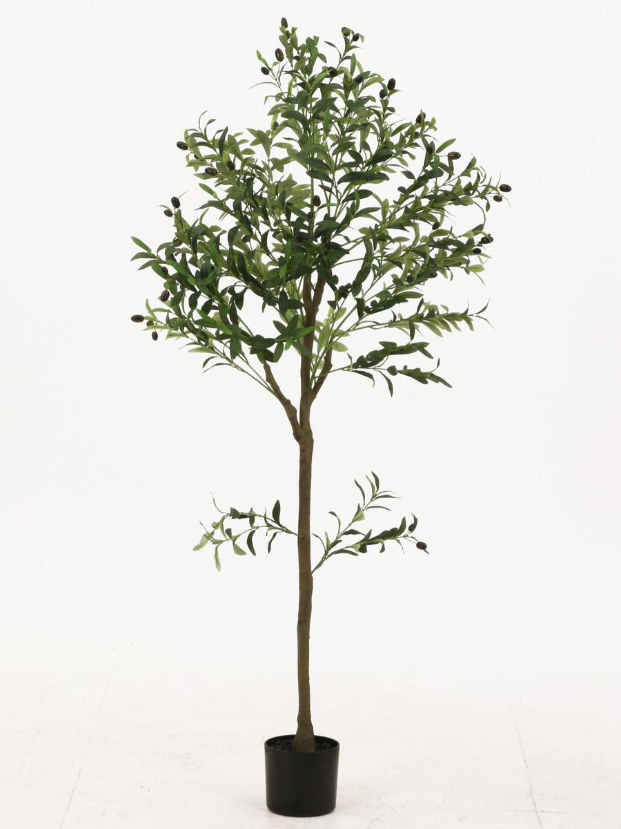 フェイクグリーン オリーブ 高さ150cm ジョイント式 （ 人工観葉植物