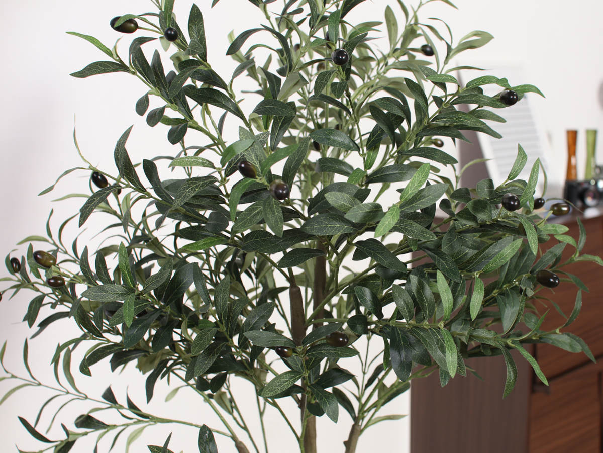フェイクグリーン　オリーブ　180cm　ジョイント式　観葉植物