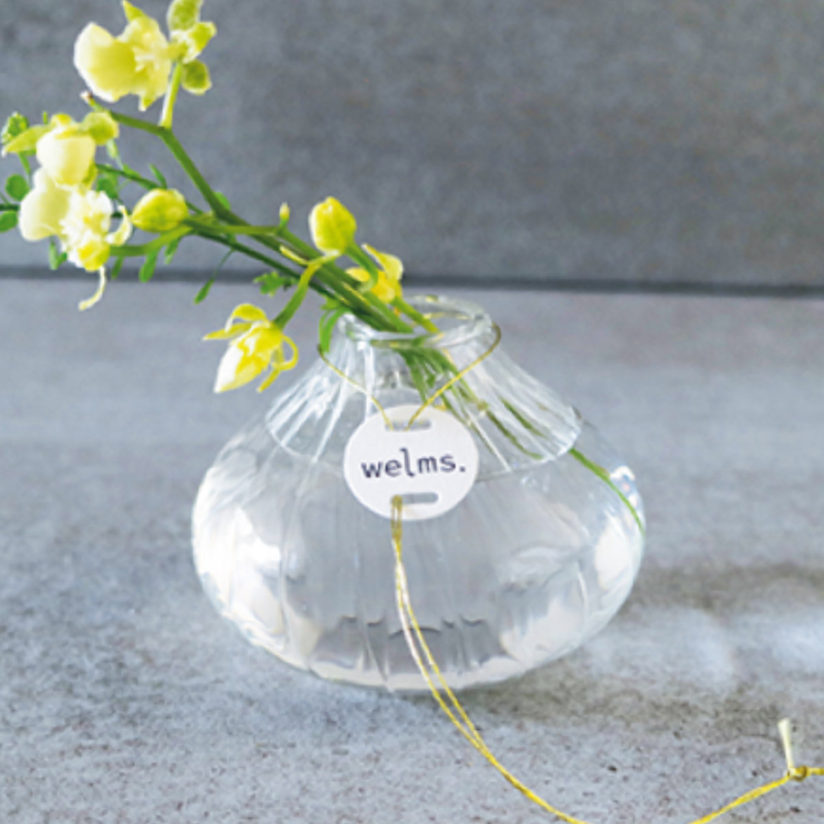 花瓶 welms. シプリベース ( 花ビン 花びん 花器 ベース フラワーベース フラワー 花 飾る 花入れ ガラス ガラス製 クリア 透明 おしゃれ 一輪挿し )