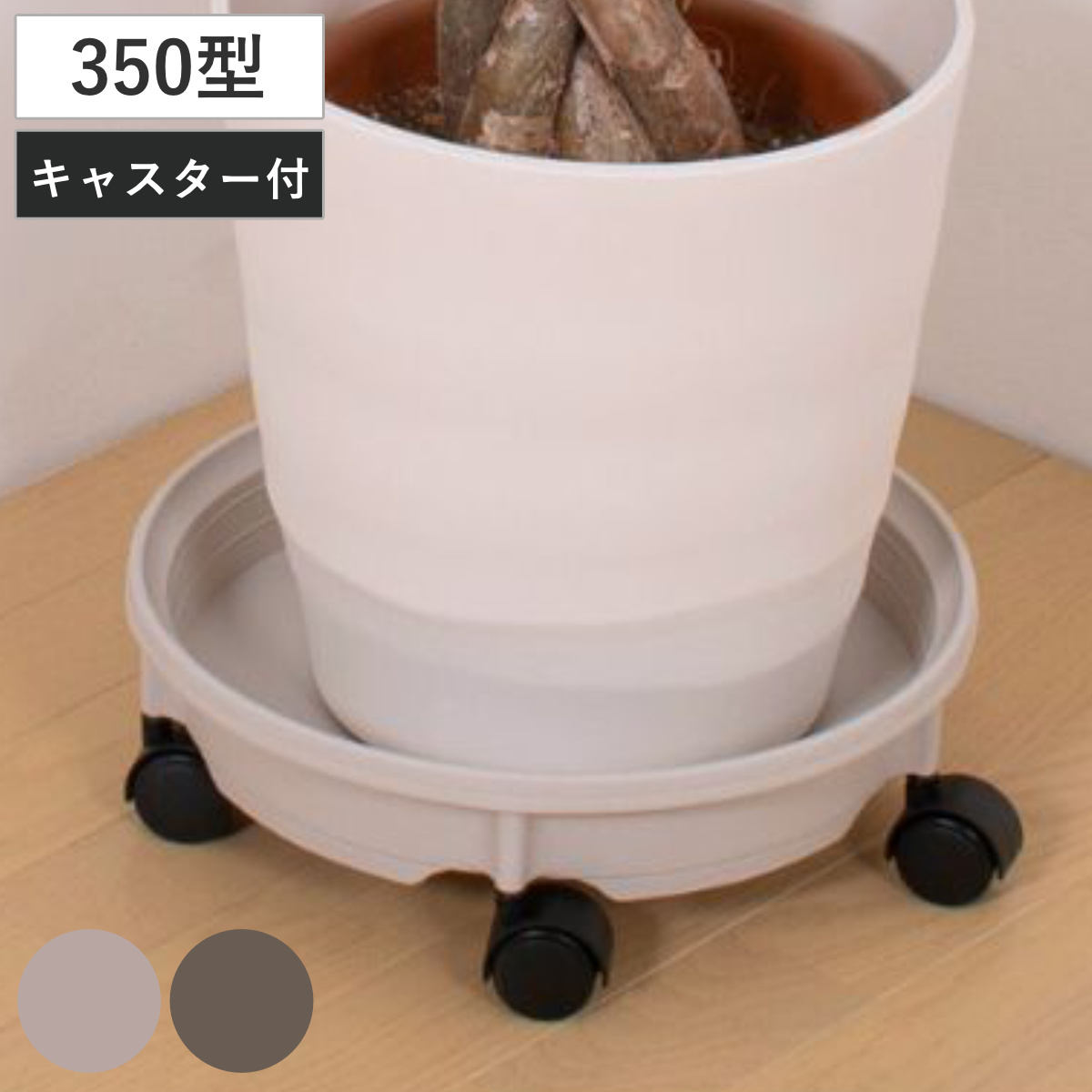 花台 鉢受プレート キャスター付350型 ( プランター台 フラワーラック 飾り台 プランタープレート フラワー プレート 室内 飾る 鉢 台 キャスター付き 置く 植物 観葉植物 花 園芸 インテリア ) 【アイボリー】
