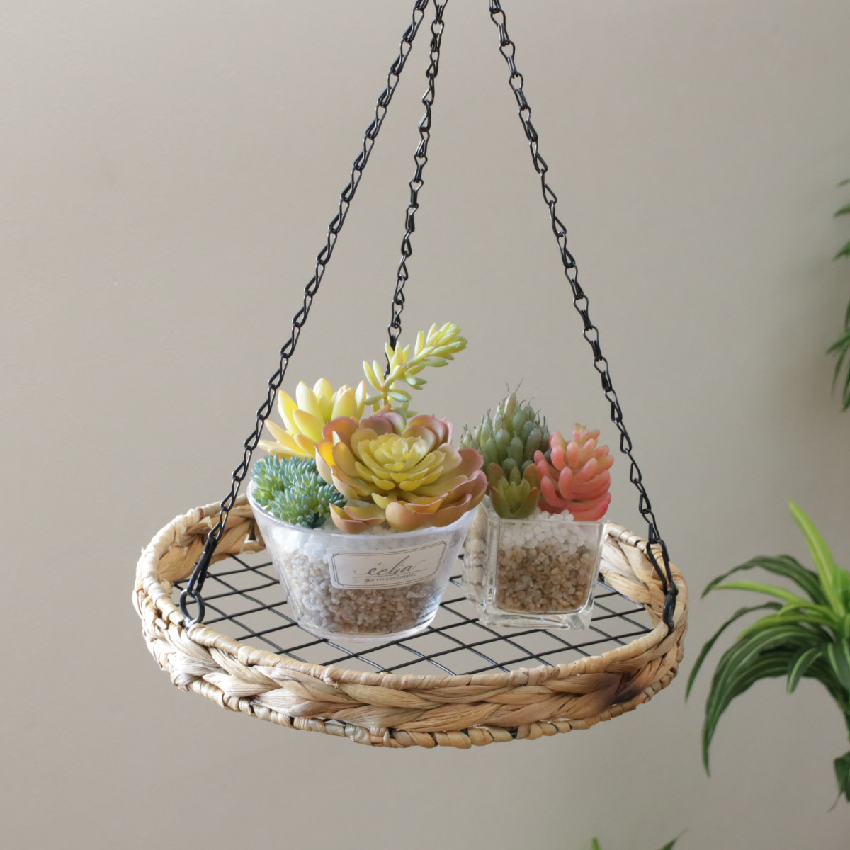 かご ヒヤシンス ラウンド ハンギングシェルフ 吊り下げ ネット ( カゴ ハンギング シェルフ ラック ハンギングラック つり下げ 吊り下げシェルフ プランターラック プランター台 フラワーラック 吊るす スワッグ エアプランツ )