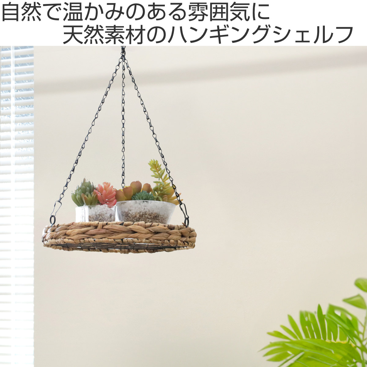 かご ヒヤシンス ラウンド ハンギングシェルフ 吊り下げ ネット ( カゴ ハンギング シェルフ ラック ハンギングラック つり下げ 吊り下げシェルフ プランターラック プランター台 フラワーラック 吊るす スワッグ エアプランツ )