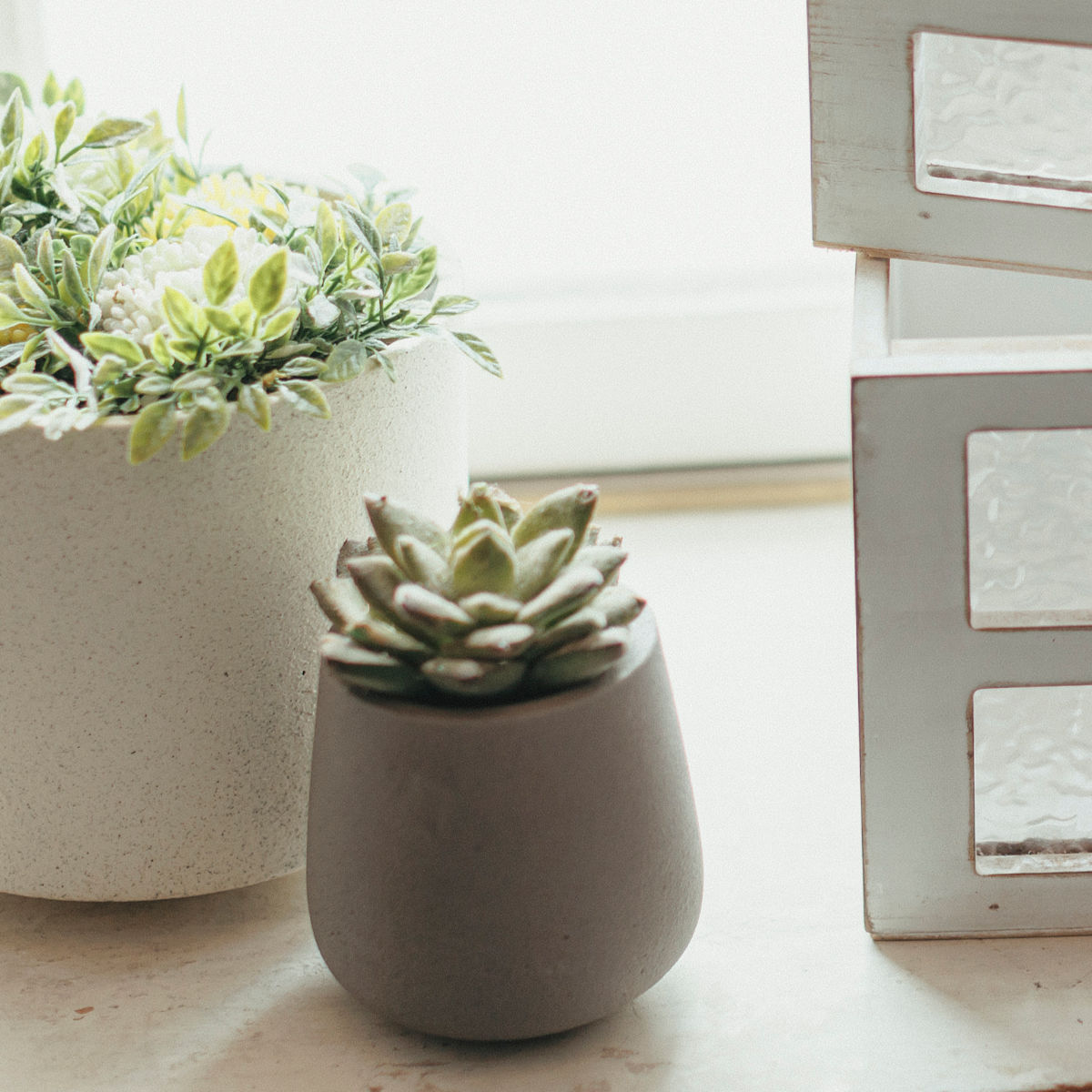 植木鉢 モノクローム エッグポット S ( ポット プラントポット セメントポット 鉢 穴あき 多肉植物 セメント スタンド 置く 植物 観葉植物 多肉 サボテン 園芸 直植え ガーデニング エクステリア ) 【グレー】 グレー