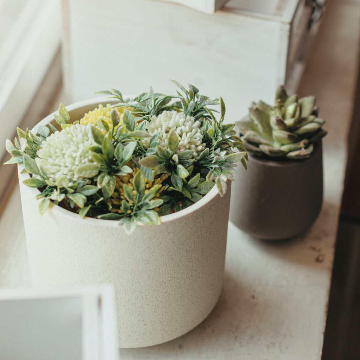 植木鉢 モノクローム エッグポット S ( ポット プラントポット セメントポット 鉢 穴あき 多肉植物 セメント スタンド 置く 植物 観葉植物 多肉 サボテン 園芸 直植え ガーデニング エクステリア ) 【グレー】 グレー