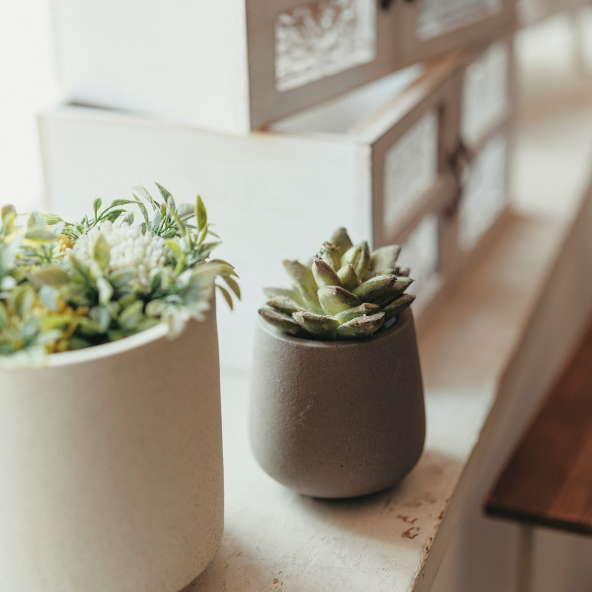 植木鉢 モノクローム エッグポット S ( ポット プラントポット セメントポット 鉢 穴あき 多肉植物 セメント スタンド 置く 植物 観葉植物 多肉 サボテン 園芸 直植え ガーデニング エクステリア ) 【グレー】 グレー