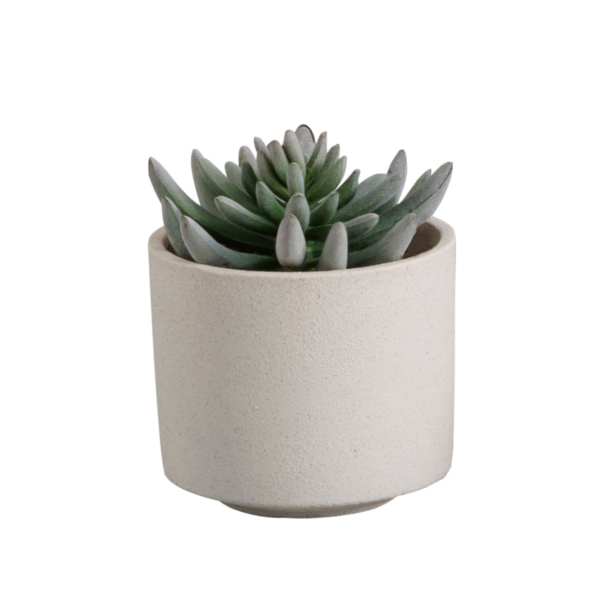 植木鉢 モノクローム ポット M ( プラントポット セメントポット 鉢 穴あき 多肉植物 セメント スタンド 置く 植物 観葉植物 多肉 サボテン 園芸 直植え ガーデニング エクステリア ) 【ホワイト】 ホワイト