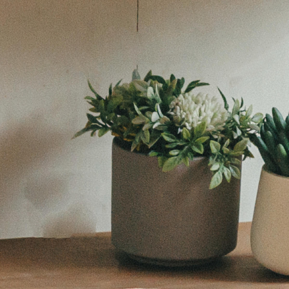 植木鉢 モノクローム ポット M ( プラントポット セメントポット 鉢 穴あき 多肉植物 セメント スタンド 置く 植物 観葉植物 多肉 サボテン 園芸 直植え ガーデニング エクステリア ) 【ホワイト】 ホワイト