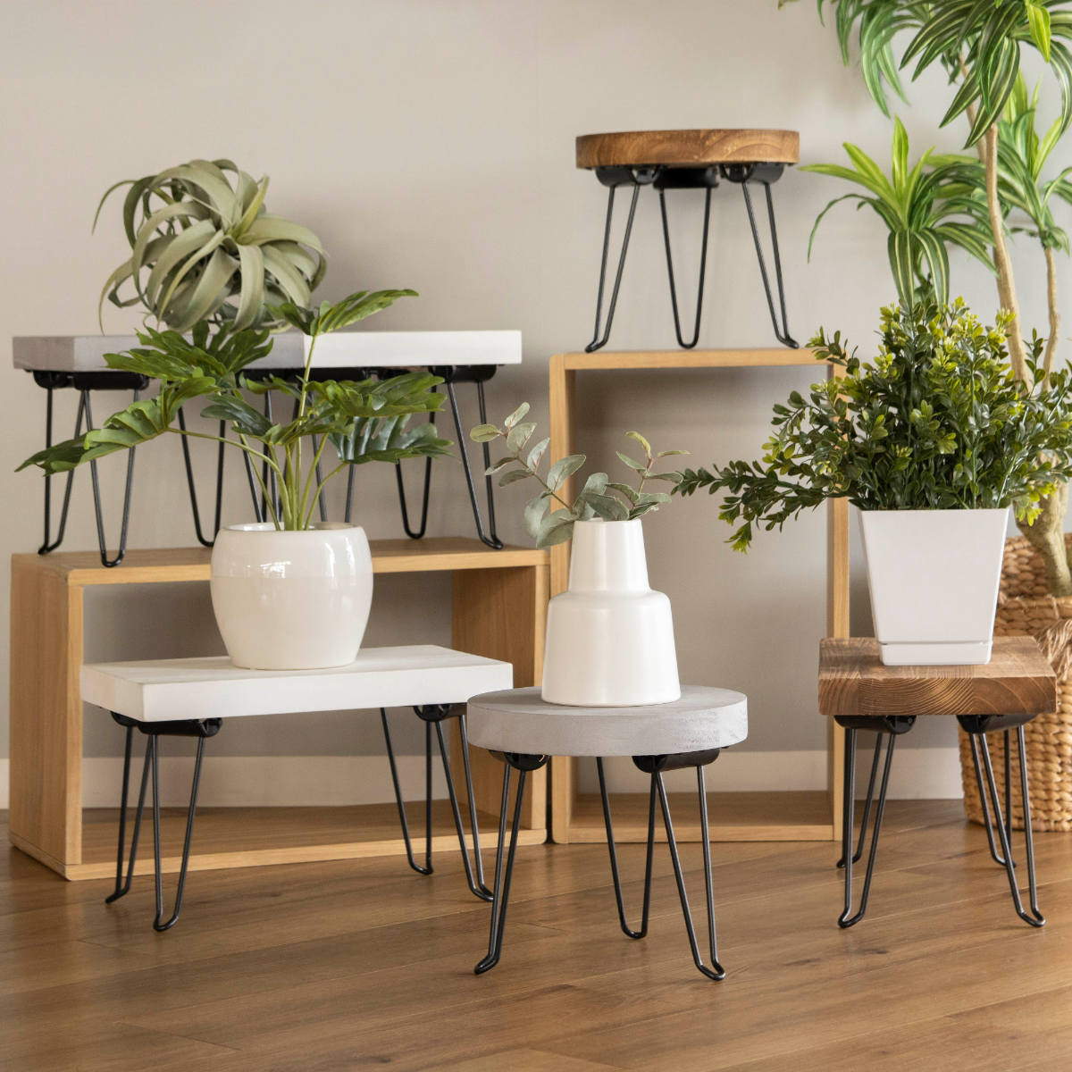 花台 プランタースタンド ピエニ レクトスタンド 木製 長方形 ( プランター台 フラワーラック 飾り台 プランターラック フラワー スタンド レクタングル 折り畳み コンパクト 鉢置き 園芸 鉢台 丈夫 10kg ) 【ホワイト】 ホワイト