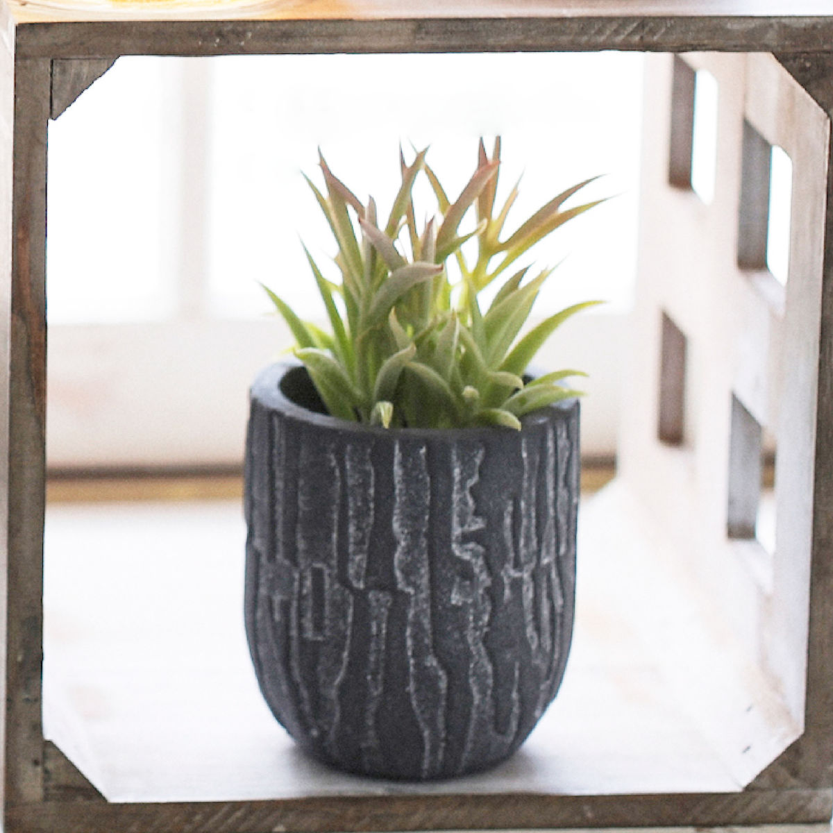 植木鉢 トロン ラウンドポット （ プラントポット プランターポット 鉢 鉢植え セメント ポット 穴あり 水抜き穴 インテリア 植え替え おしゃれ 観葉植物 多肉植物 サボテン 園芸 ）