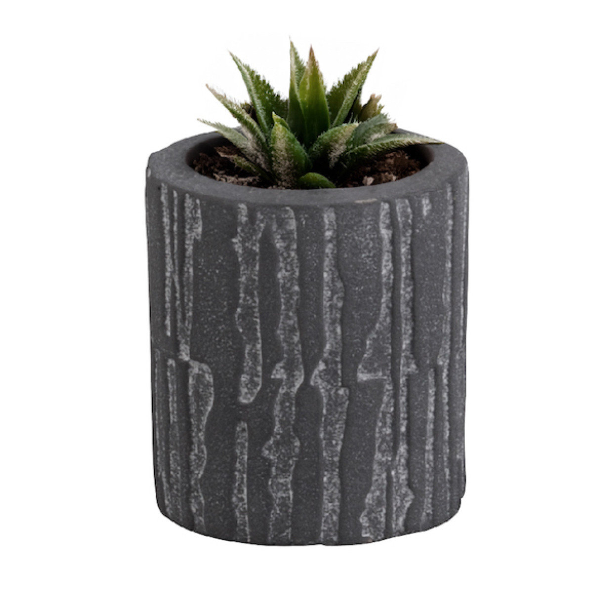 植木鉢 トロン ストレートポット （ プラントポット プランターポット 鉢 鉢植え セメント ポット 穴あり 水抜き穴 インテリア 植え替え おしゃれ 観葉植物 多肉植物 サボテン 園芸 ）