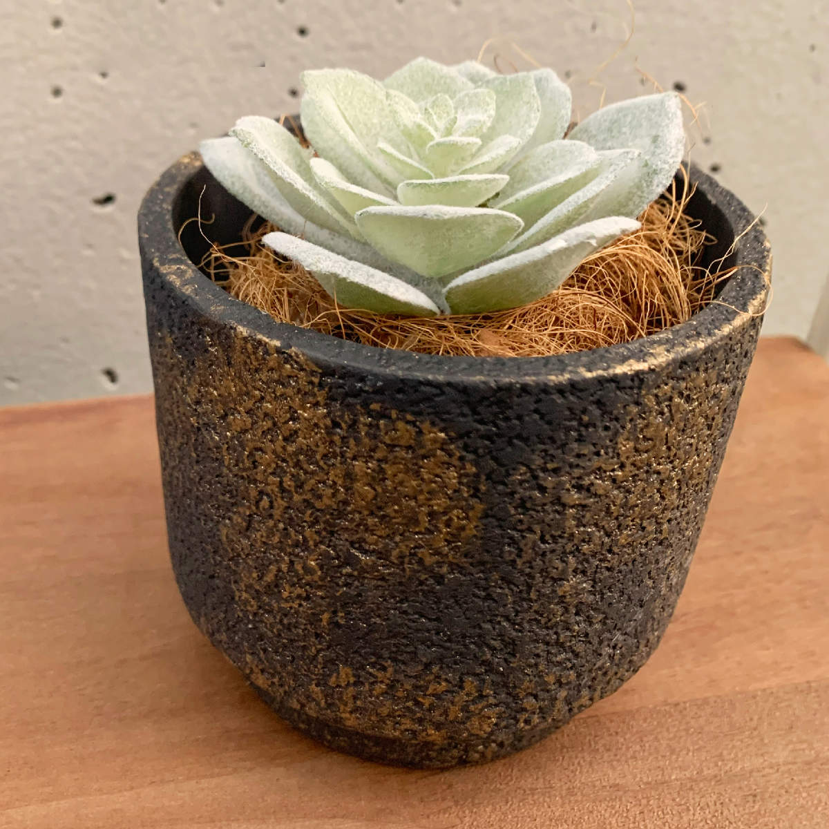 植木鉢 ノワオール ラウンドポット （ 植木 鉢 ポット プラントポット セメントポット 穴あき グリーンポット セメント レンガ調 置く 植物 観葉植物 多肉 サボテン 園芸 直植え ガーデニング エクステリア ）