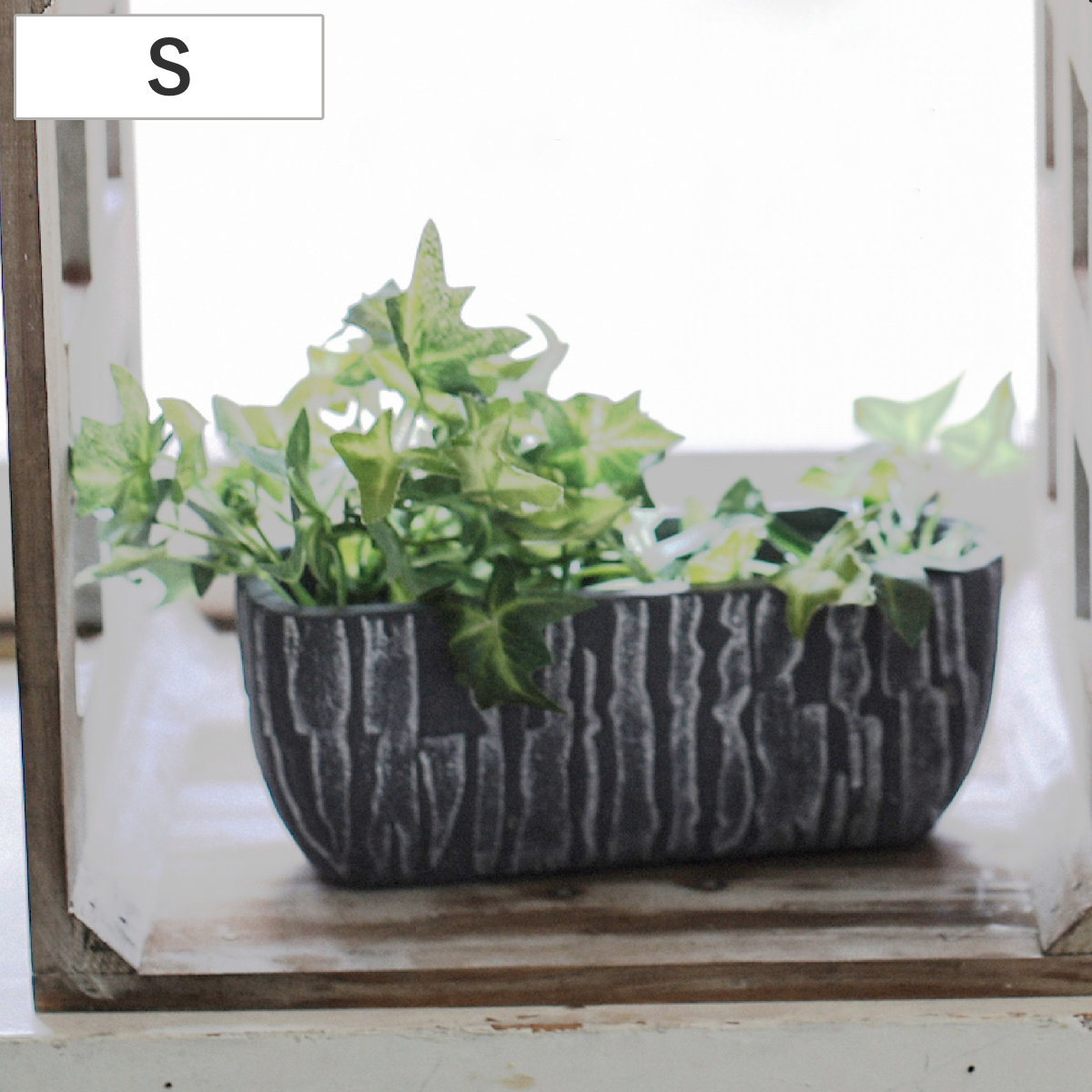 植木鉢 トロン レクトポット S （ プラントポット プランターポット 鉢 鉢植え セメント ポット 穴あり 水抜き穴 インテリア 植え替え おしゃれ 観葉植物 多肉植物 サボテン 園芸 ）