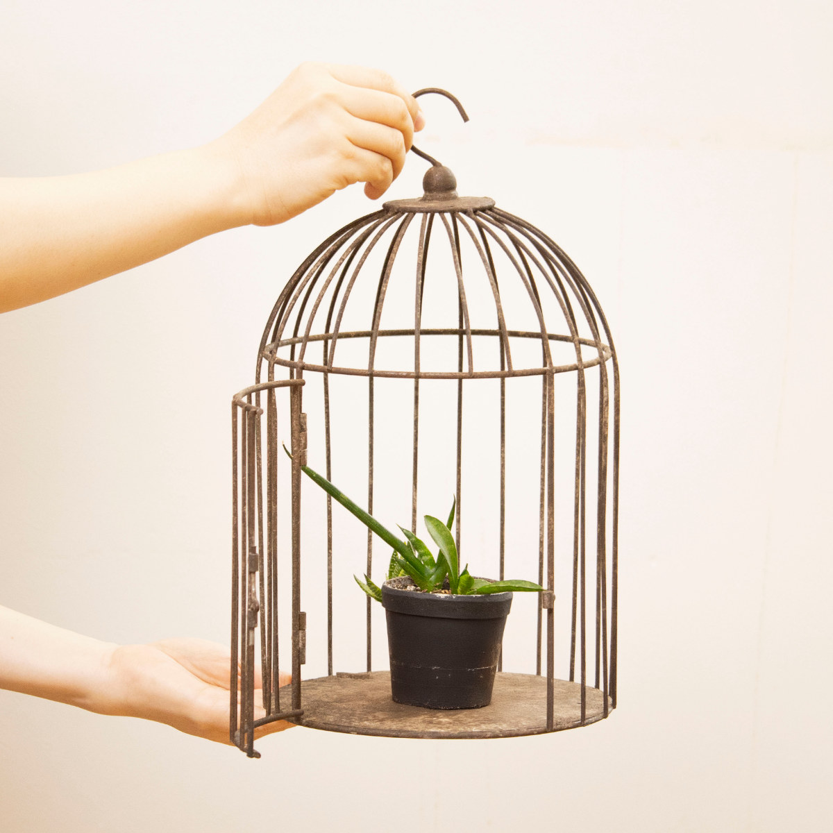 鳥かご ヴィンティー バードケージ ハンギングポット （ プランター