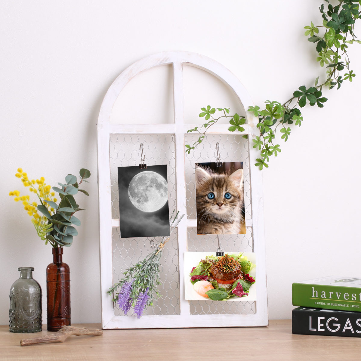 ガーデンオーナメント ルフェン ウィンドウフレーム S ( ガーデニング雑貨 窓 フレーム 木製 ウッドフレーム 窓枠アーチ 園芸 エクステリア 雑貨 飾り 庭 ベランダ ガーデニング インテリア ディスプレイ 壁掛け おしゃれ ) 【ホワイト】 ホワイト