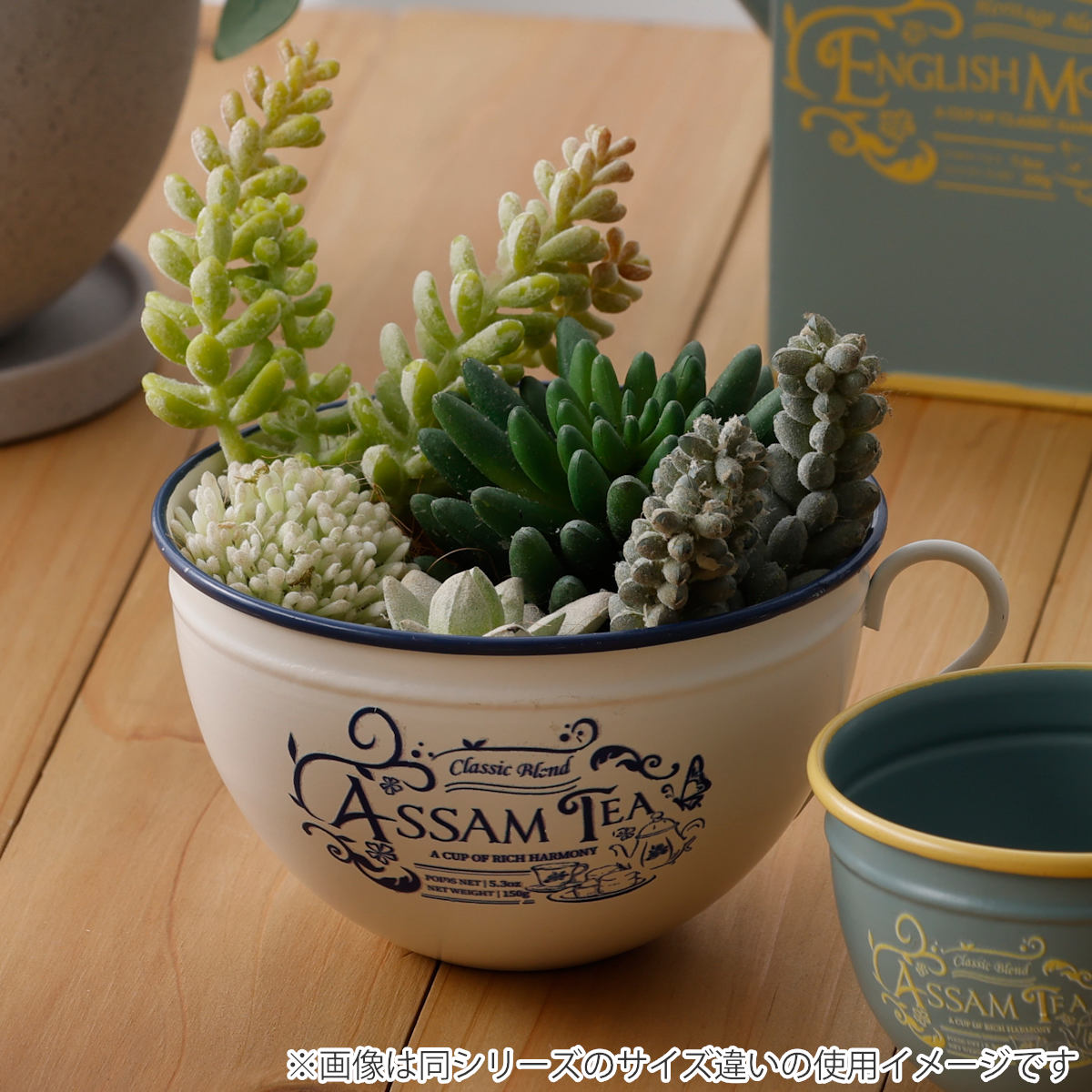 植木鉢 アンフュゼ・ティーカップ S アンティーク （ ポット プラント