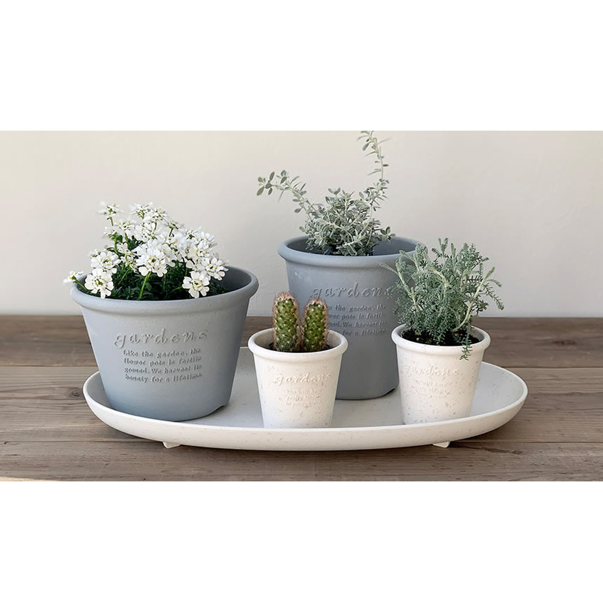 受け皿 エコプレートオーバル 古紙入り 幅42.5×奥行26.9cm ( 鉢皿 受皿 プレート 鉢受け皿 水受け皿 水受け プラスチック オーバル 足付き ペーパー 天然素材 ワンプレートガーデン プラ鉢 だ円 エコポット 皿 軽量 おしゃれ ) 【グリーン】 グリーン