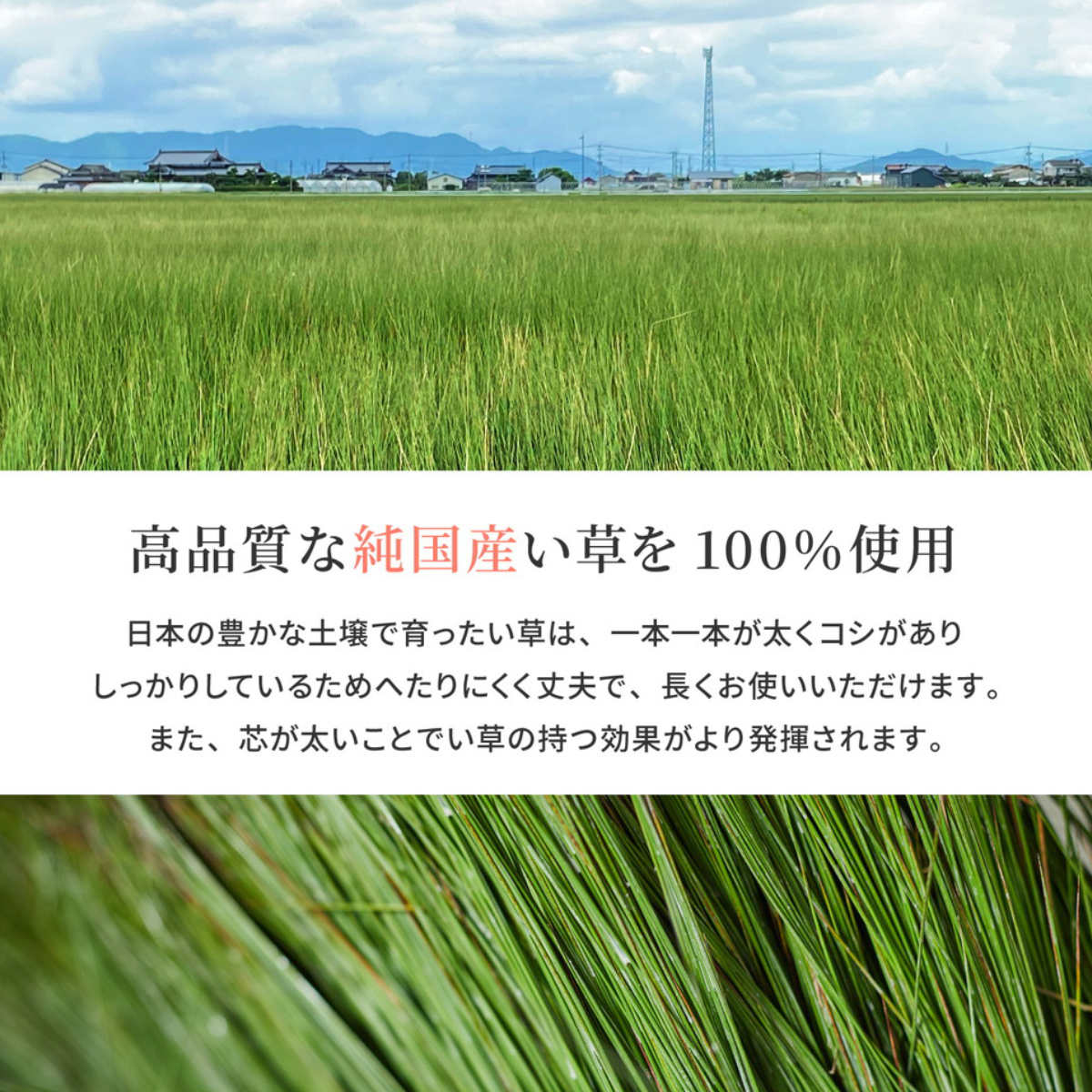 ラグ い草ラグ 191×191cm 日本製 滑り止め 約2畳 薄手 ござ 裏貼り エルモード ブルー ( い草マット マット ラグマット い草 カーペット じゅうたん ゴザ 畳マット いぐさ 軽量 夏用 おしゃれ 国産 ) 【ブラウン】 ブラウン