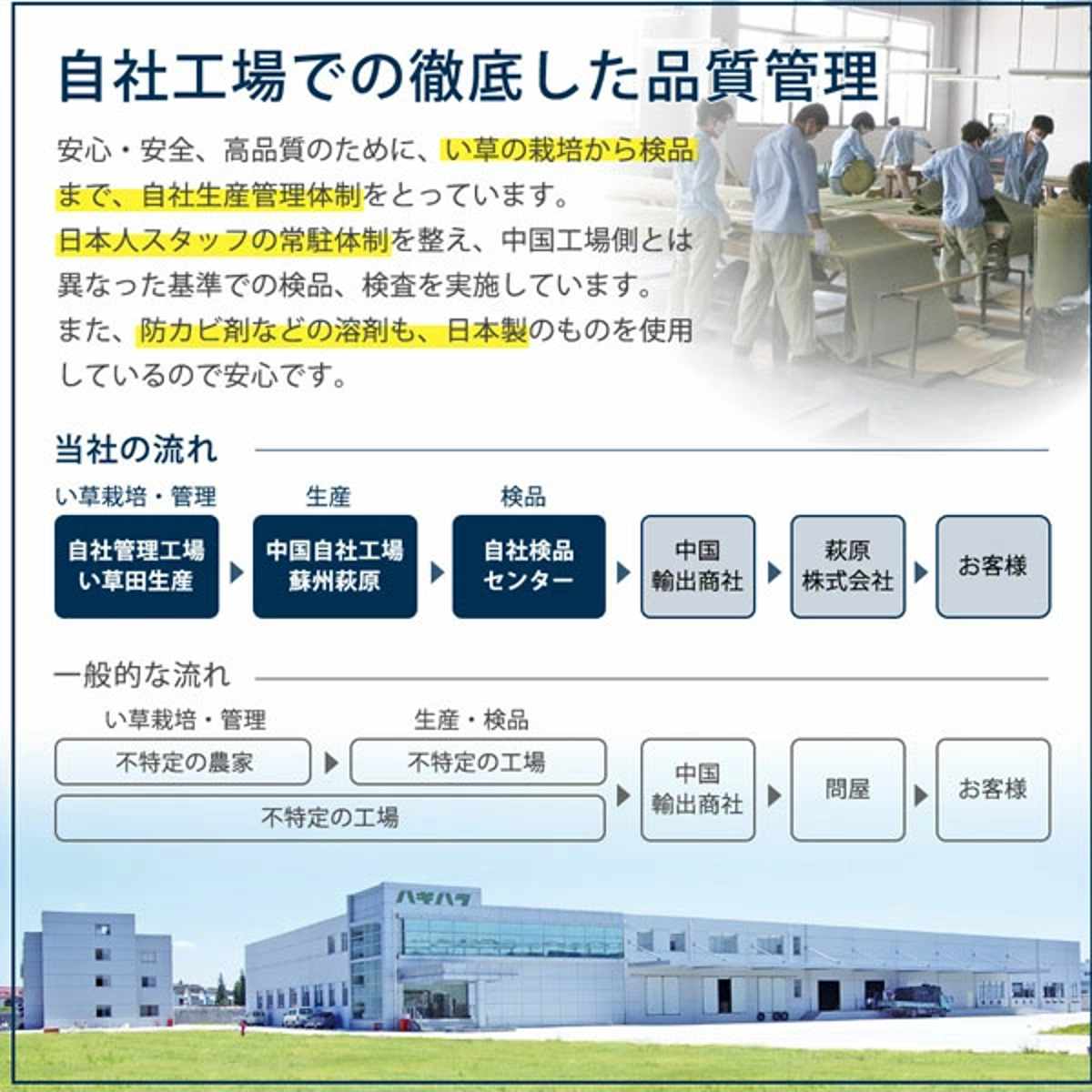 ユニット畳 置き畳 紗彩 約65×65 滑り止め付き 6枚セット ブラック ( 畳マット 畳 ラグ マット い草 軽量 コンパクト 移動 楽々 簡単 設置 システム畳 フロア畳 フローリング畳 軽い フローリング 手軽 和室 洋室 厚み 滑り止め ) 【グリーン】 グリーン