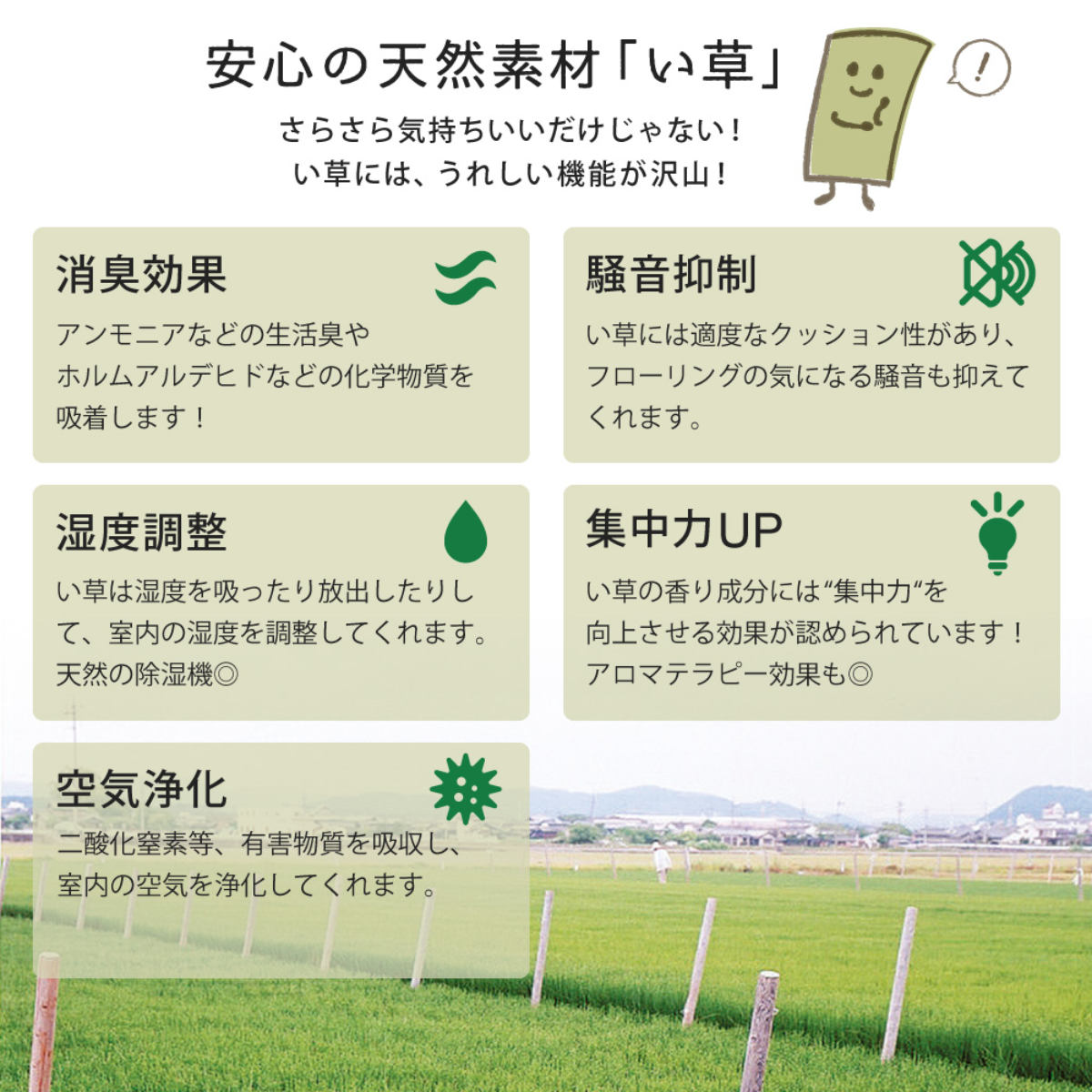 ユニット畳 置き畳 倉敷 約82×82 滑り止め付き 12枚セット ブルー ( 畳マット 畳 ラグ マット システム畳 フロア畳 フローリング畳 簡単 設置 軽い フローリング 手軽 和室 洋室 い草 厚み クッション性 キズ防止 ) 【ナチュラル】 ナチュラル