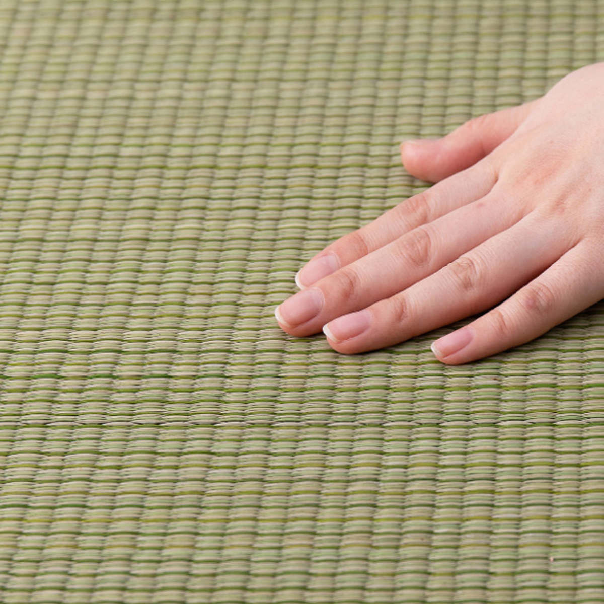 ユニット畳 置き畳 四季 約82×82 滑り止め付き 1枚 ブルー ( 畳マット 畳 ラグ マット システム畳 フロア畳 フローリング畳 簡単 設置 軽い フローリング 手軽 和室 洋室 い草 ) 【ナチュラル】 ナチュラル