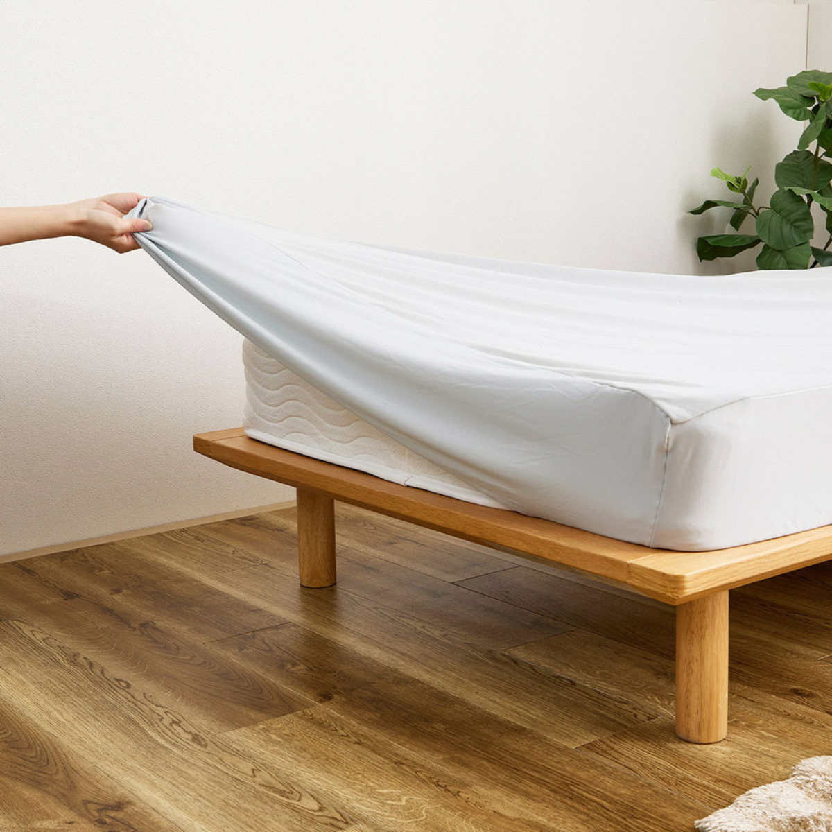 ボックスシーツ単品 シングル ズレない敷きパッド ピターら ( PITARA ボックスシーツ 単品 ズレない 密着 敷き布団OK マットレス 寝具 無地 ずれない 洗濯OK )