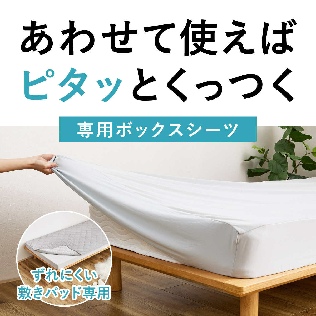 ボックスシーツ単品 シングル ズレない敷きパッド ピターら ( PITARA ボックスシーツ 単品 ズレない 密着 敷き布団OK マットレス 寝具 無地 ずれない 洗濯OK )