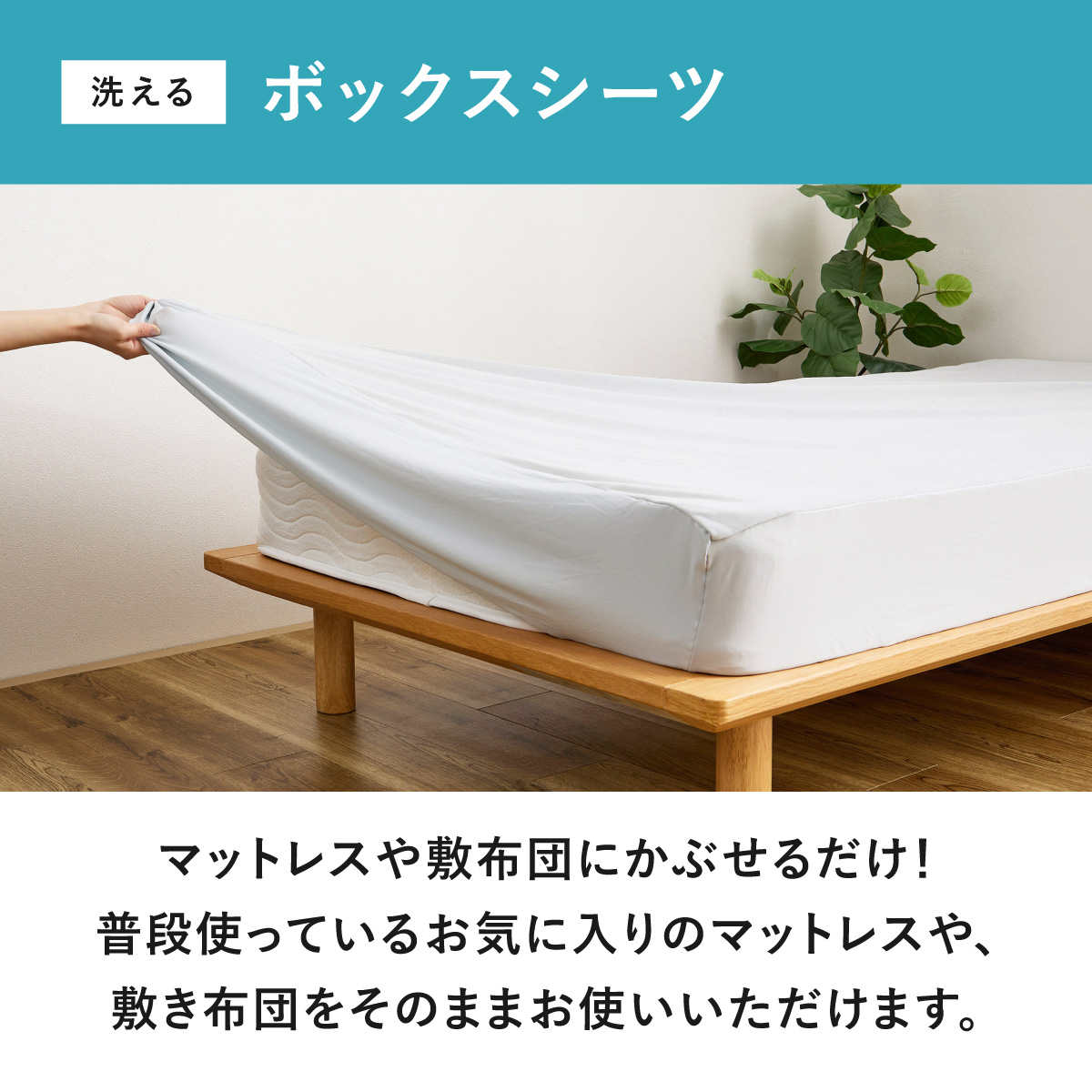 ボックスシーツ単品 シングル ズレない敷きパッド ピターら ( PITARA ボックスシーツ 単品 ズレない 密着 敷き布団OK マットレス 寝具 無地 ずれない 洗濯OK )