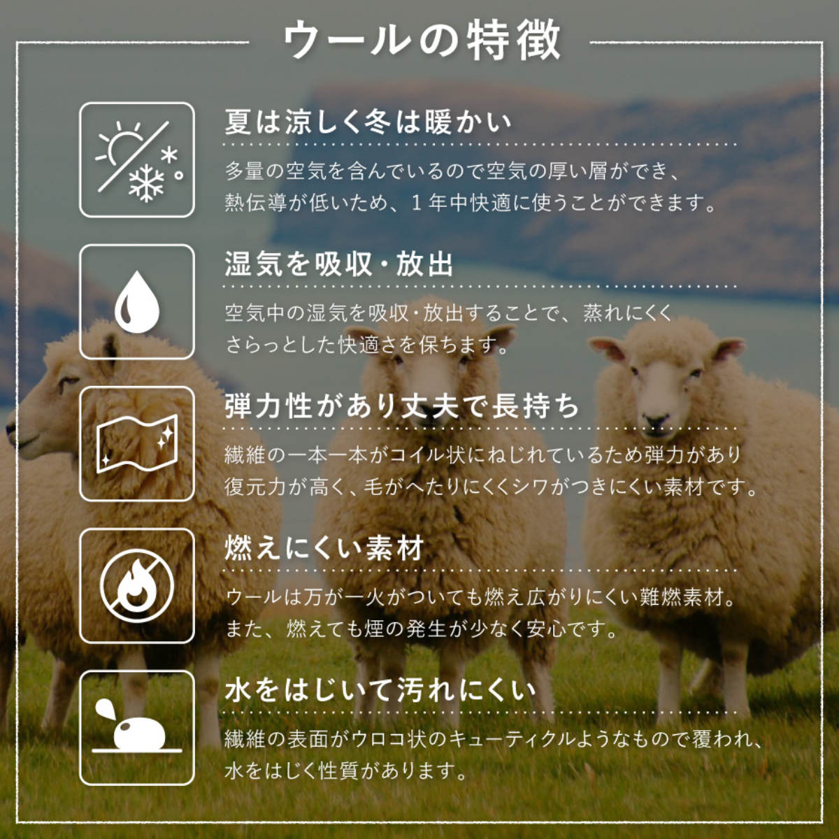 玄関マット 60×90 GABBEH 室内 ( マット ラグ 敷物 インテリア おしゃれ ウール100% 幅90cm ギャベ ギャッベ ハンドメイド オールシーズン フリンジ付き リビング ソファ横 ベッドサイド ラグマット 玄関用 エントランス ) 【D24】 D24