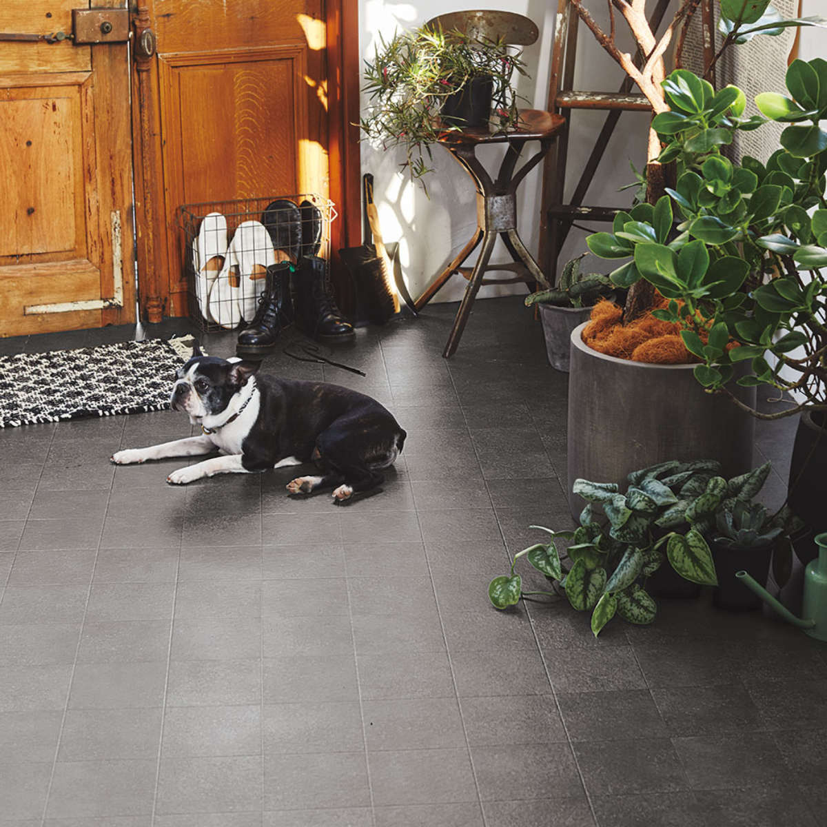 クッションフロア 抗菌 防カビ ペット対応クッションフロア 約90x300 ( クッションフロアマット ペットマット ペット用マット 滑り止め 足腰サポート 滑りにくい 消臭 カット可能 ) 【オーク】 オーク