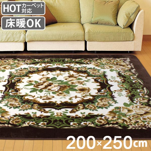 ラグ 3畳 200×250cm 床暖 ホットカーペット対応 ラグマット ブラウン リオ3 ( カーペット カバー マット 200×250 保温効果 防音対策 快適 リビング 長方形 床暖房 200 250 四角 じゅうたん 3畳用 秋冬 )