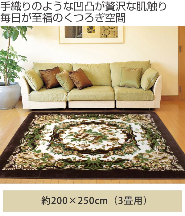ラグ 3畳 200×250cm 床暖 ホットカーペット対応 ラグマット ブラウン リオ3 ( カーペット カバー マット 200×250 保温効果 防音対策 快適 リビング 長方形 床暖房 200 250 四角 じゅうたん 3畳用 秋冬 )