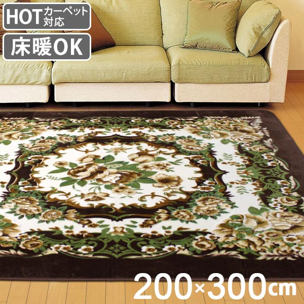 カーペット 4畳 200×300cm 床暖 ホットカーペット対応 ラグマット ブラウン リオ3 ( ラグ カバー マット 200×300 保温効果 防音対策 快適 リビング 長方形 床暖房 200 300 四角 じゅうたん 4畳用 秋冬 )