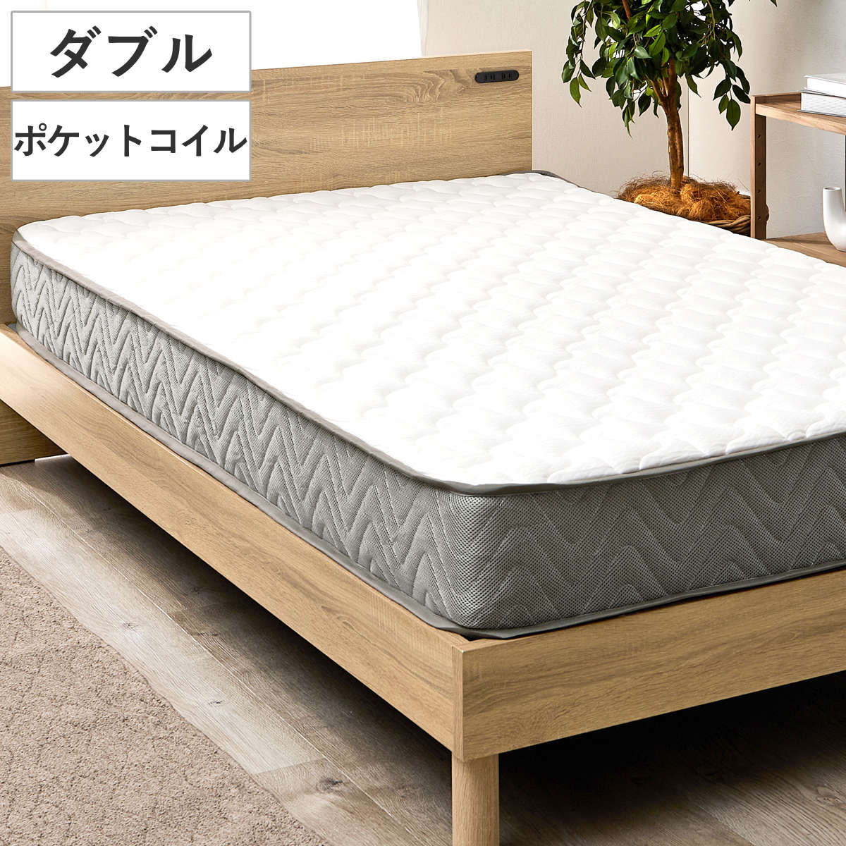 CODE/482505