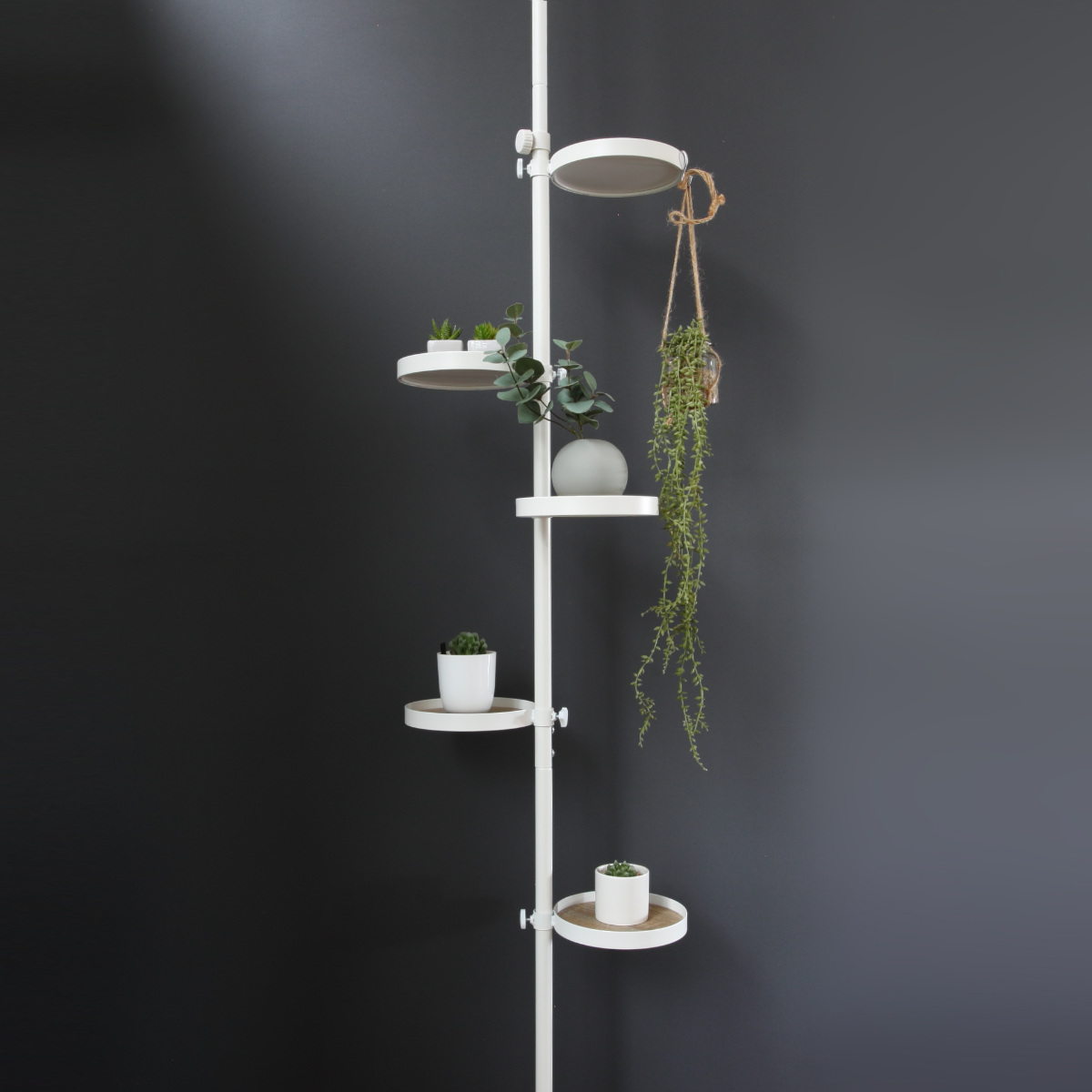 突っ張りポールラック 丸型トレイ5個 高さ調整 見せる収納 ( 突っ張りラック 突っ張り棒 ラック ハンガー ポール スリム 収納 突っ張り 隙間 つっぱり棚 スリムラック 収納ラック トレー 5段 観葉植物 リバーシブル 両面 ) 【ホワイト×ホワイト】 ホワイト×ホワイト