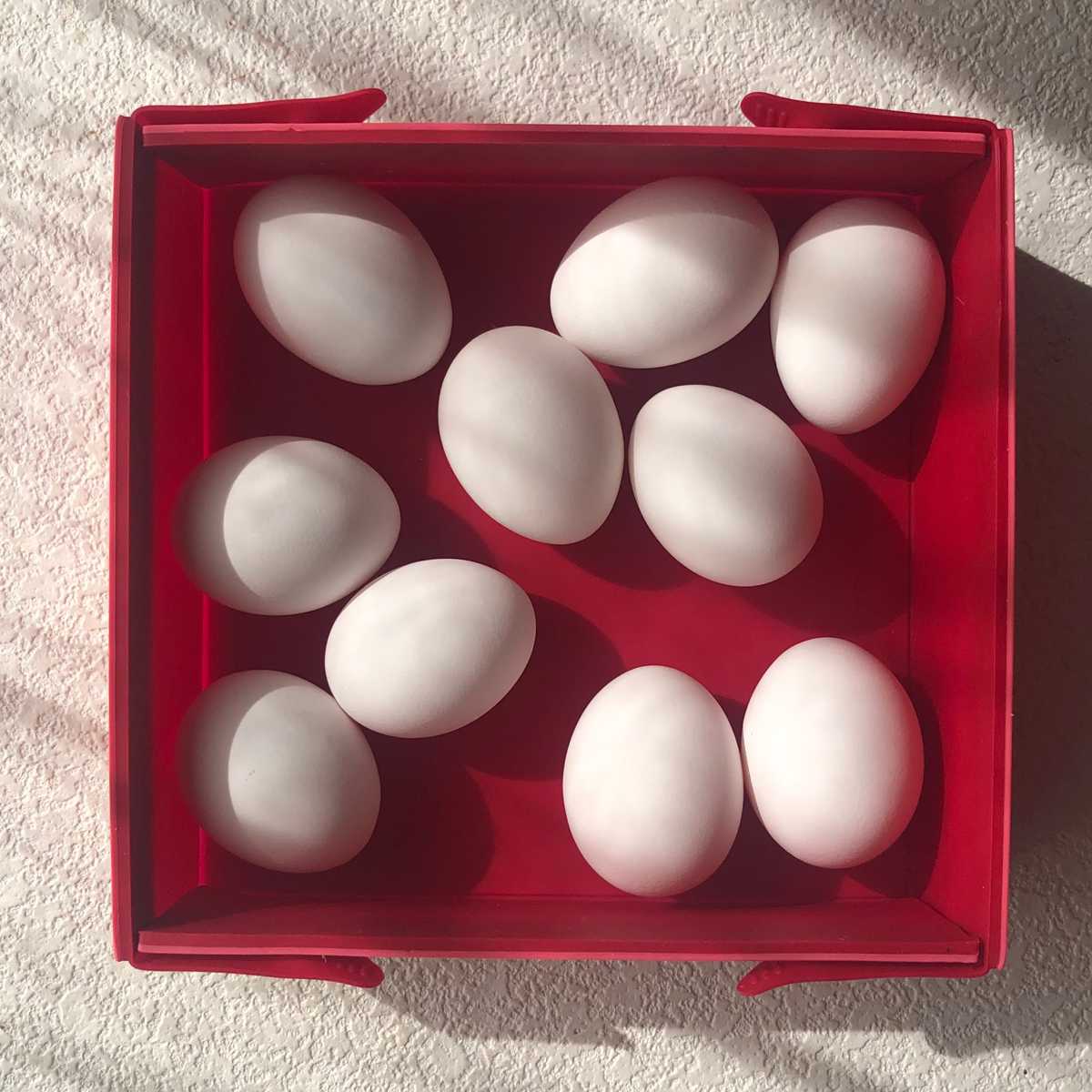 ケーキ型 coox 洗いやすい たためる焼き型 SQ ( シリコーン オーブン対応 食洗機対応 焼き型 シリコンケーキ型 四角 スクエア おしゃれ かわいい コンパクト たためる お菓子づくり 料理 手作り 型 ケーキ ゼリー テリーヌ ) 【ブルー】 ブルー