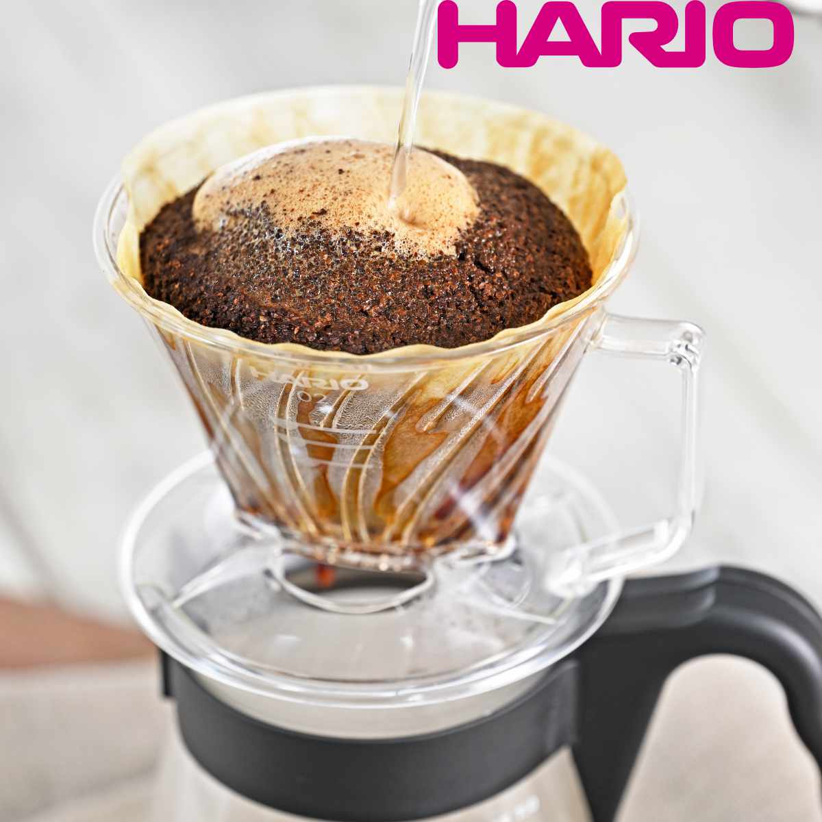 ハリオ ドリッパー コーヒーフィルターセット 2〜4杯用 ペガサス プラスチック （ HARIO 食洗機対応 コーヒードリッパー コーヒーフィル